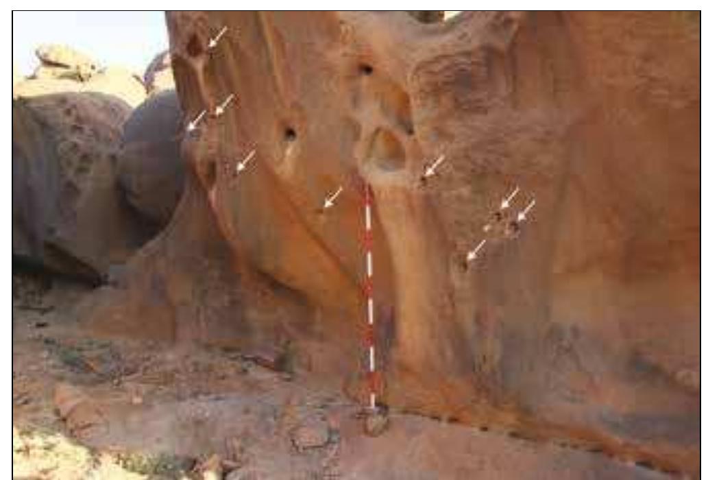 Plate 15. Southern wall of the northern shelter: pieces of wood indicate the position of some of the drilled holes that probably constitute remains of light architecture. Below the wall, note the deposits disturbed by looters. View from the north west. 