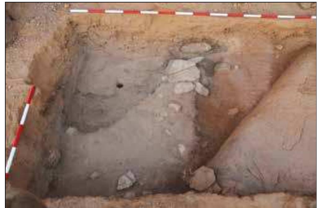 Plate 16. Western part of Trench 5, with pseudo-features created as a consequence of severe natural (geochemical) transformations. 