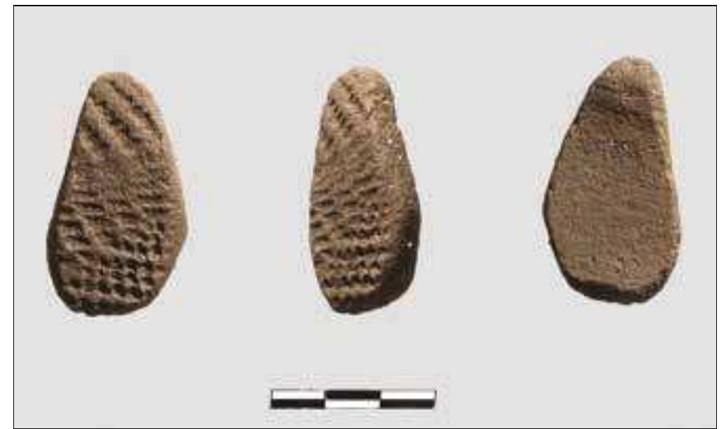 Plate 1. Ceramic comb from Sphinx (SBK.W-60), Trench 5 (photo: R. Ceccacci). 