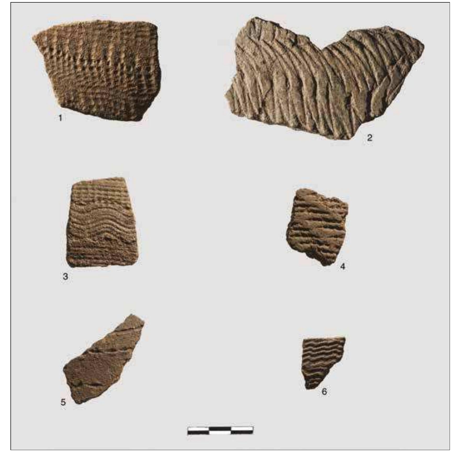 Plate 3. Decorated pottery: 1 — Dotted zigzags made with the rocker technique; 2 — Plain xigzags made with the rocker technique; 3 — Alternated bands of zigzags and dotted wavy lines made with the rocker technique; 4 — Dotted lines made with the simple impression technique; 5 — Paired lines of dashes made with the alternately pivoting stamp technique;  6 — Wavy lines made with the incision technique (photo: R. Ceccacti). 