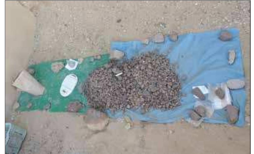 With its large quantities of lithics the site of Sphinx fits well amongst Mesolithic sites in central Sudan (Plate 1). For this reason, only a representative sample of finds was selected in the first stage of analysis conducted in the field during the 2015 campaign. The sample included all lithic material from two 1 x 1m squares in Trench 7 (A and C in the north- western and north-eastern corner of the trench, respectively) in the southern part of the settlement platform which, after removal of the uppermost surface layer (SU1, 20-50mm), was explored in 16 mechanical units down to the bedrock (« 1m below the modern surface). In addition, all finds from  Plate 1. Lithies from the surface layer in Trench 7 prior to analysis (photo: K. Kapustka). 