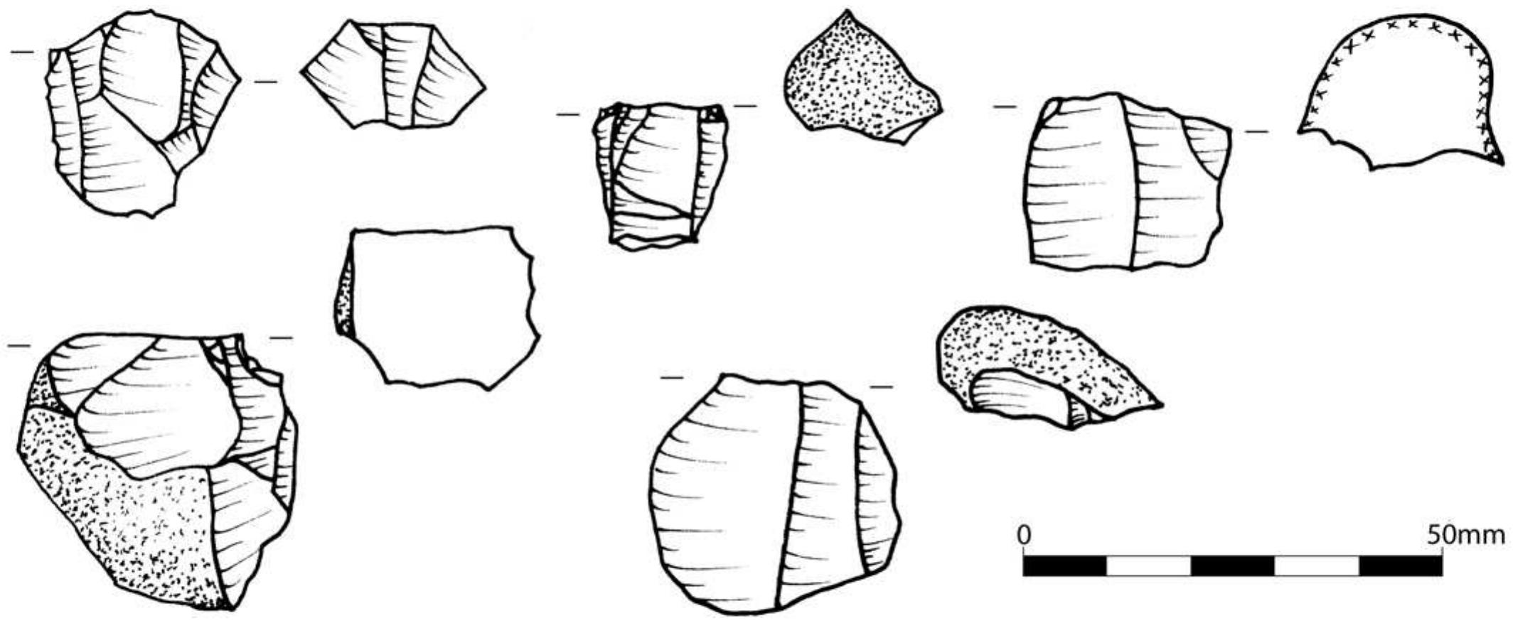 Figure 1. Examples of cores of quartz pebbles from Trench 5 of 2014, scale 1:1 (drawing: K. Kapustka). 