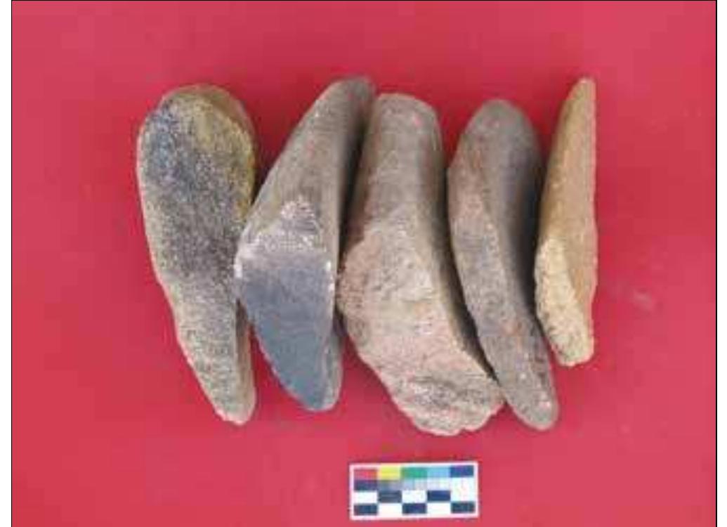 Plate 4. Rim fragments of basin-like querns from various areas within the site (photo: ]. Ridky). 