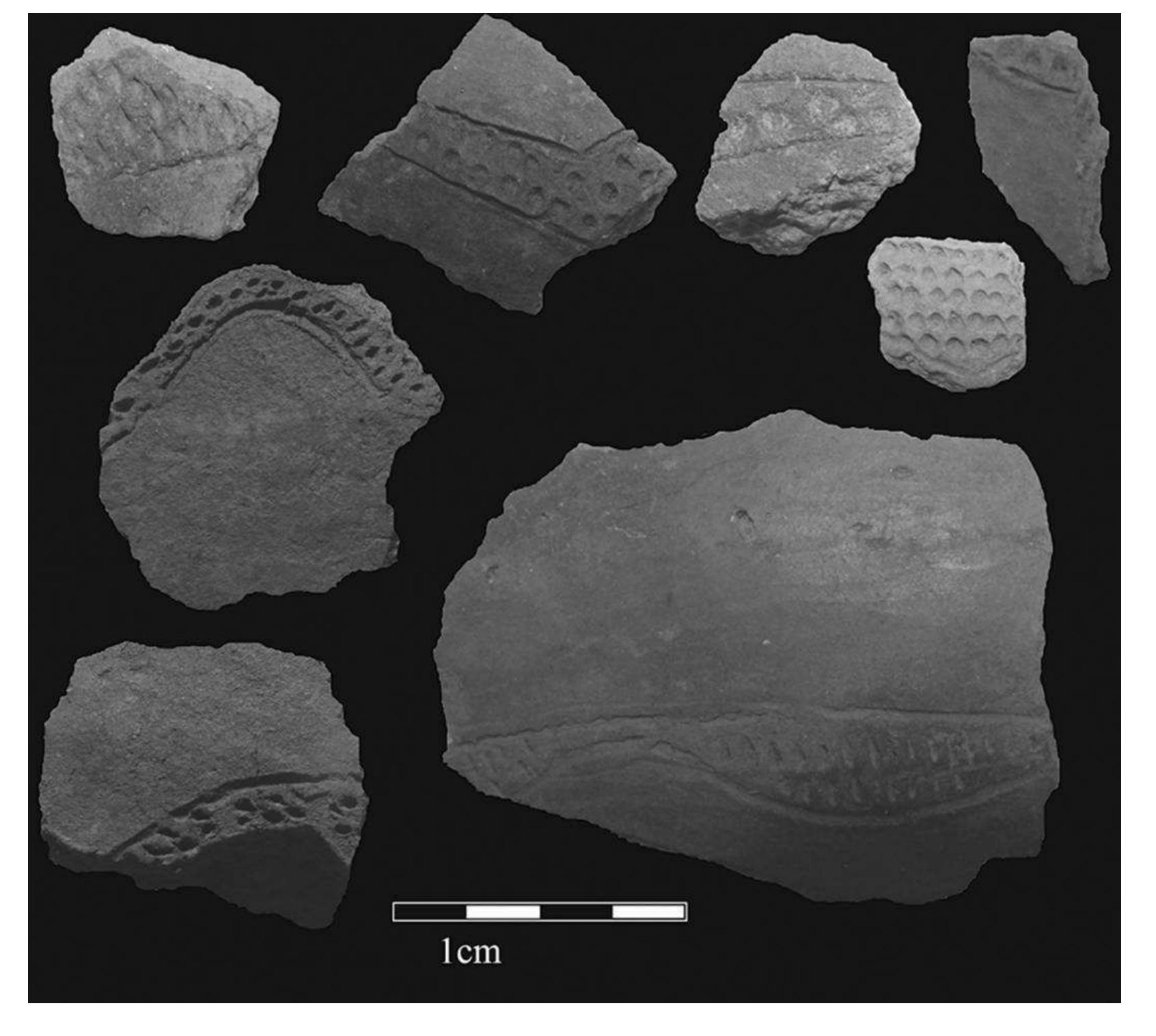 (PDF) Local Dynamics and the Emergence of Social Inequality in Iron Age ...