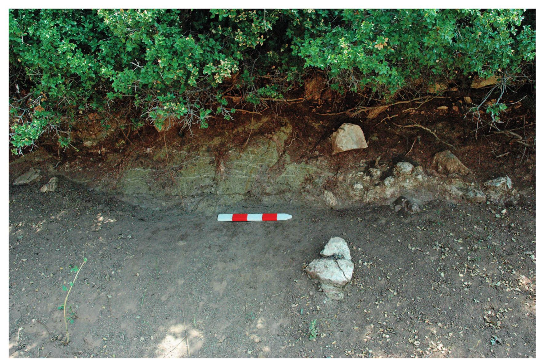 Fig. 8 View of the terrace cut into the ophiolitic mélange along the northern edge of Field 171. 
