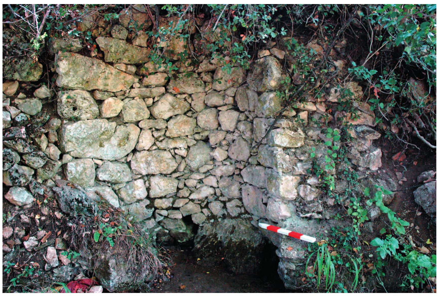 Fig. 9 View of the water source between Fields 171 and 172. 