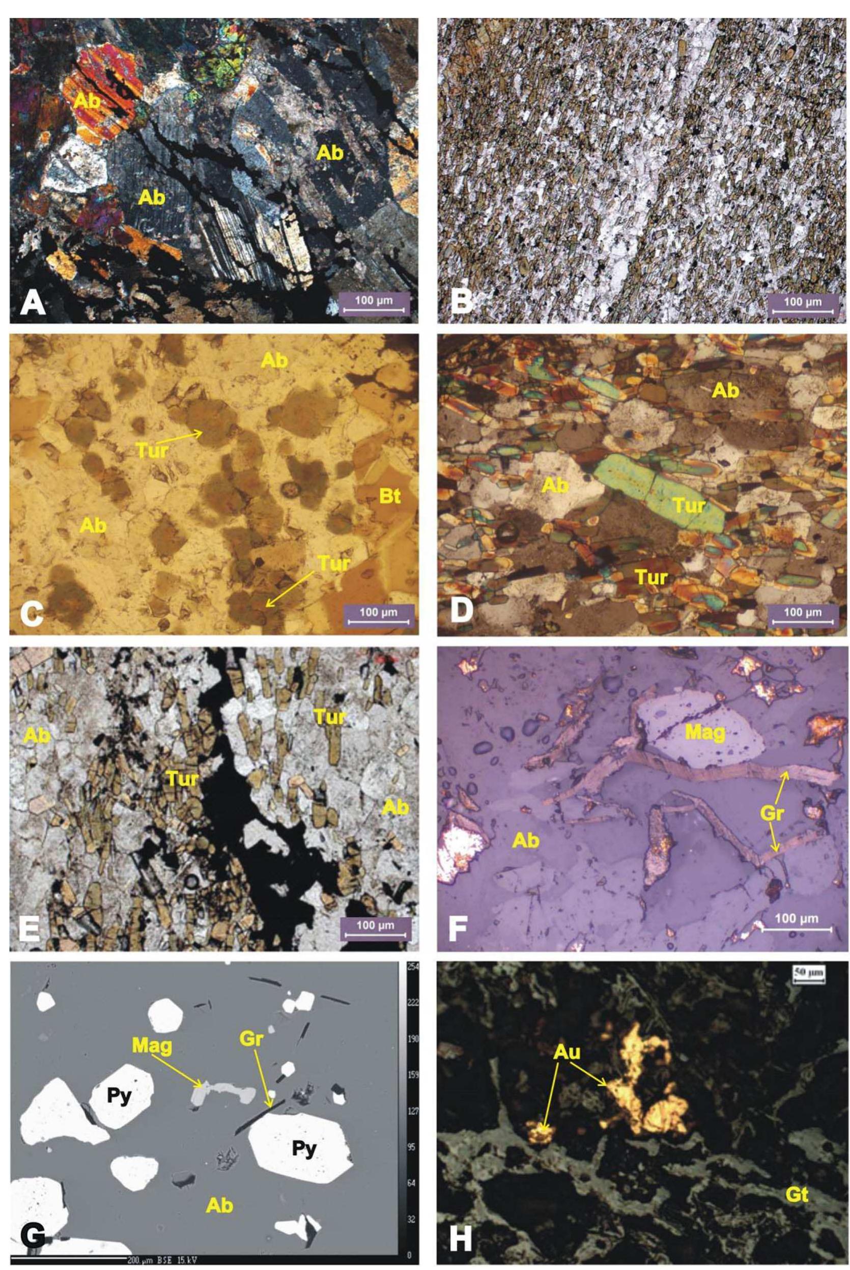 Cut Albite Photomicrographs and epma-bse images of mineral assemblages