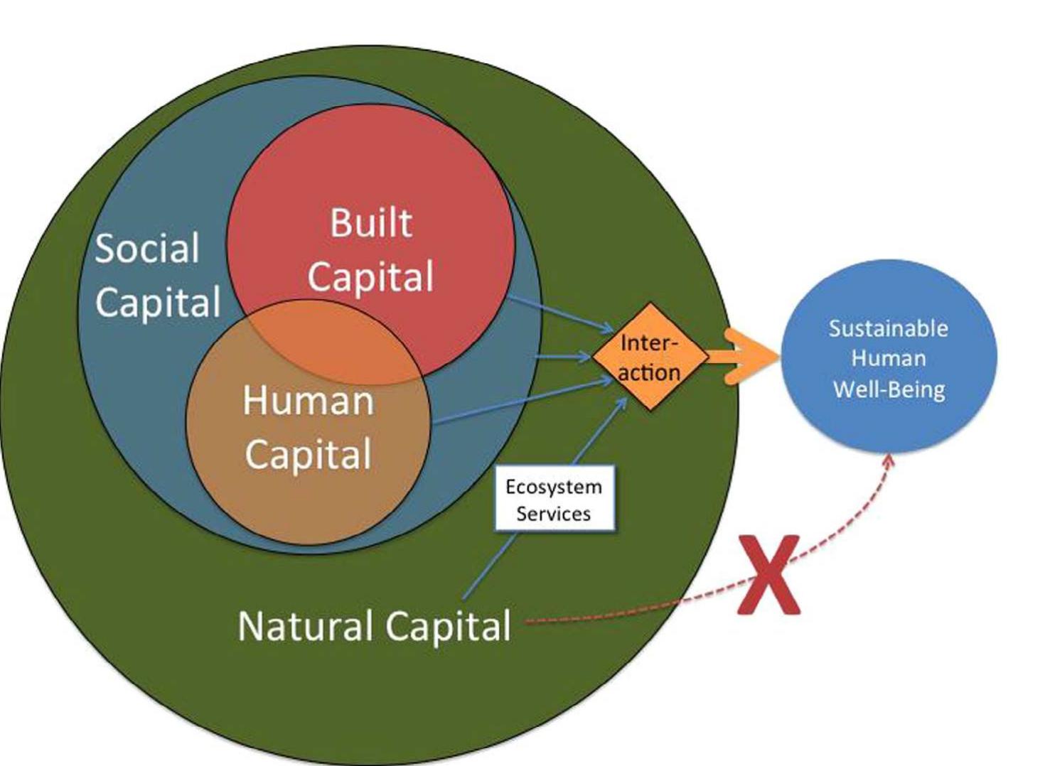 * We include ecosystem “goods” along with ecosystem services.  Fig. 1. The interaction between built, social, human and natural capital affects human wellbeing (Costanza et al., 2014b) (built capital and human capital (the economy) are embedded in society, which is embedded in the rest of nature. Ecosystem services are the relative contribution of natural capital to human wellbeing, they do not flow directly. It is therefore essential to adopt a broad, transdisciplinary perspective in order to address ecosystem services). 
