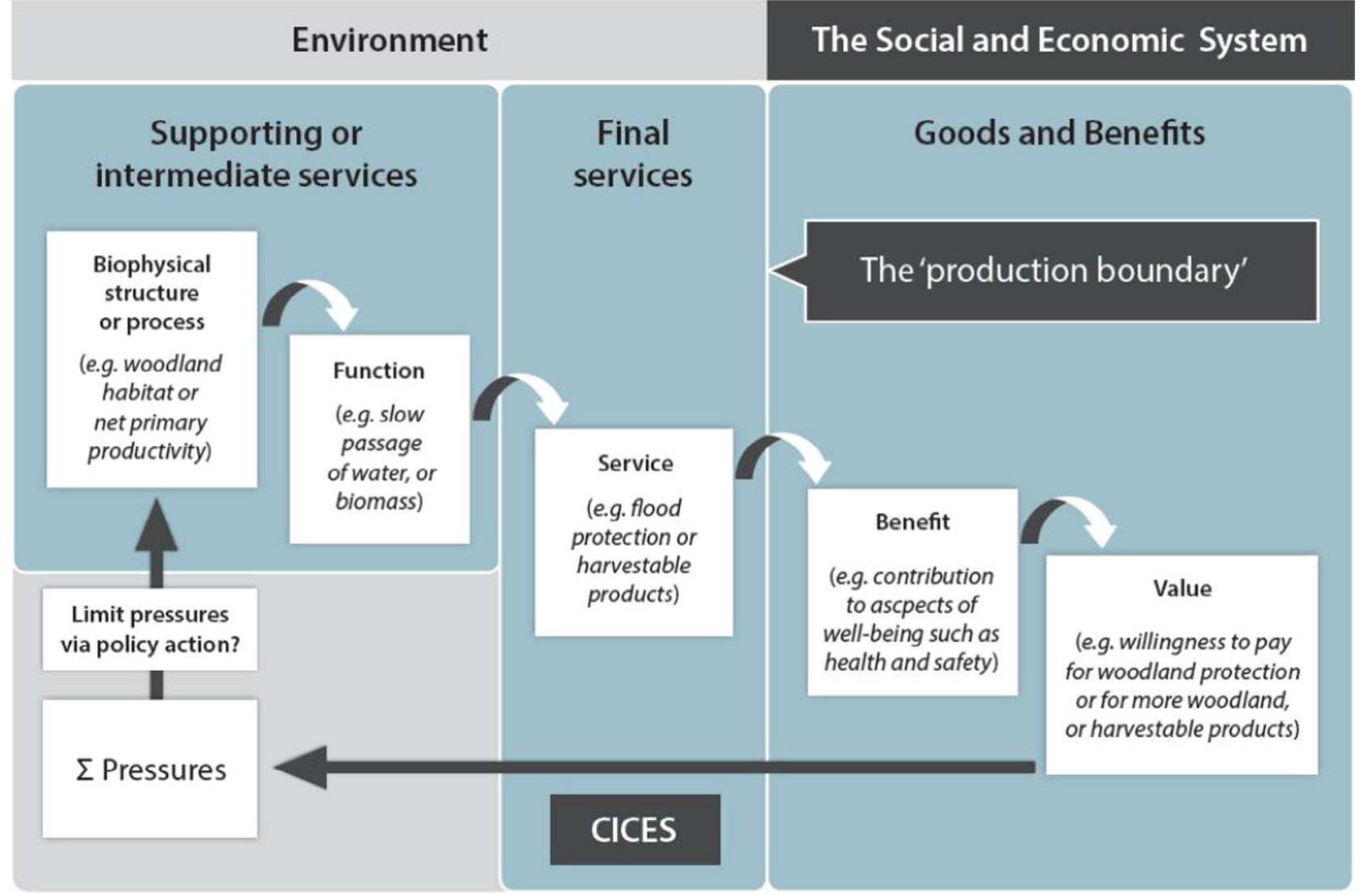 Fig. 2. Cascade diagram: from structure to functions, to services to benefits to value (Potschin and Haines-Young, 2017)  Fig. 3 is a better representation, because it recognizes that ser- vices equal benefits (by definition) and that complex interactions and feedbacks are required among built, human, social, and natural capital in order to produce ecosystem services. 