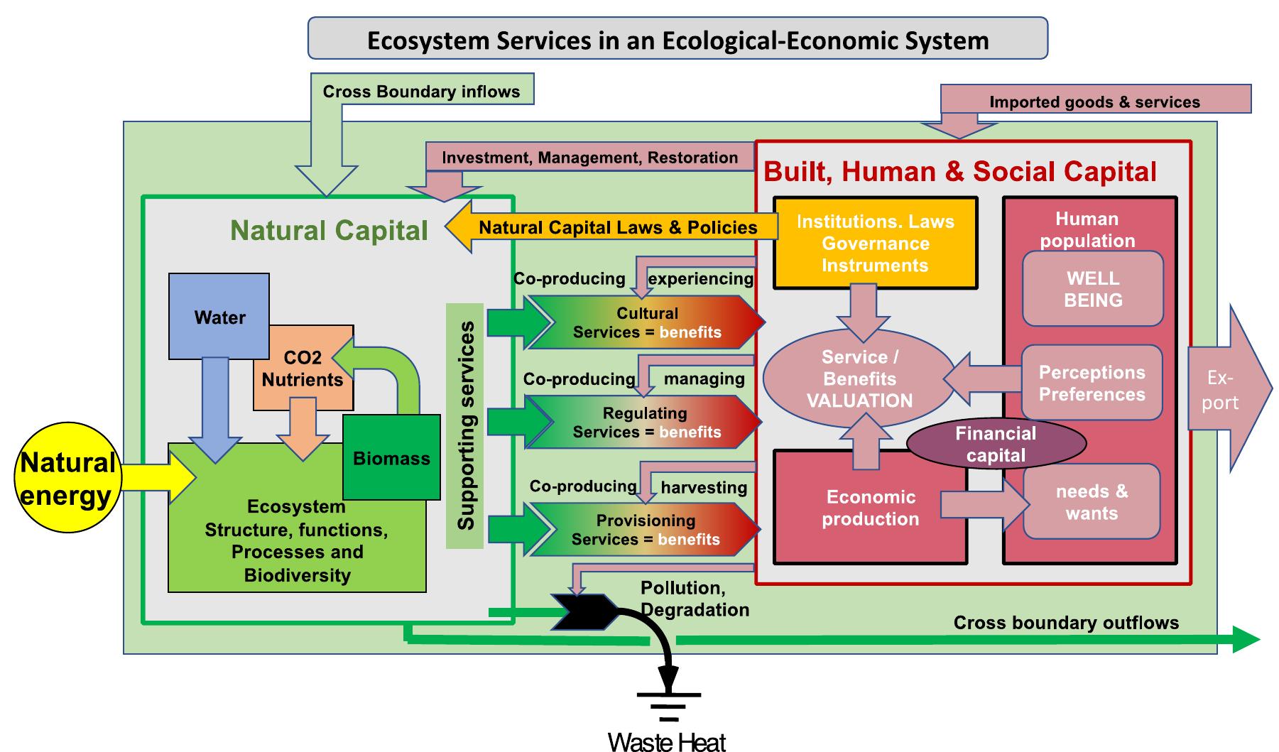 Fig. 3. Beyond the cascade: a dynamic system capturing the complex interactions needed to produce ecosystem services at the regional scale, driven by the flows of energy, matter, and information through the system. All depictions of these complex interactions are, of course, oversimplifications, but this diagram recognizes some of that complexity (source: designed by the authors). 