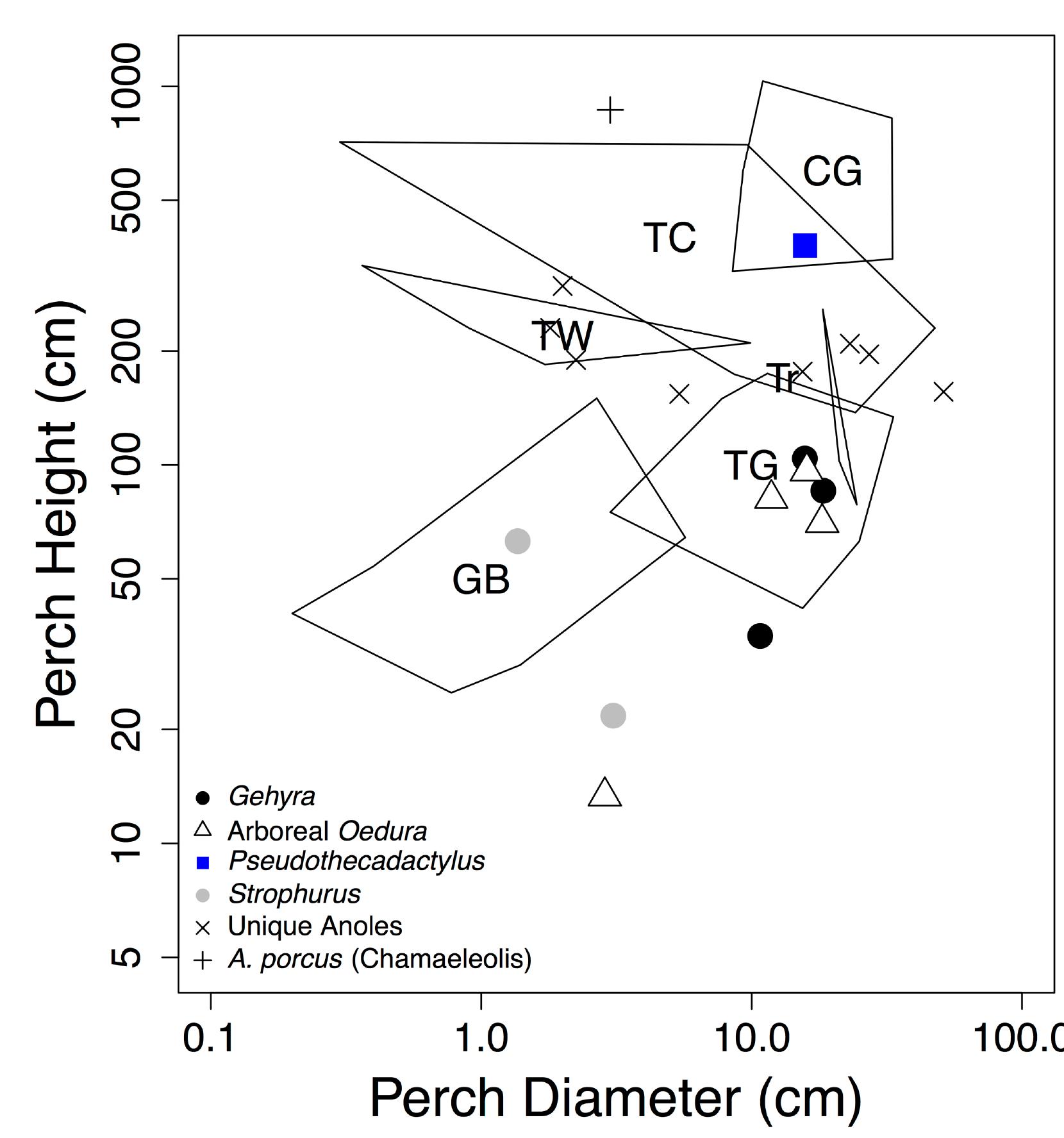 Trunk Ecomorph Color Figure 6 - from Skink ecomorphology: forelimb and hind limb