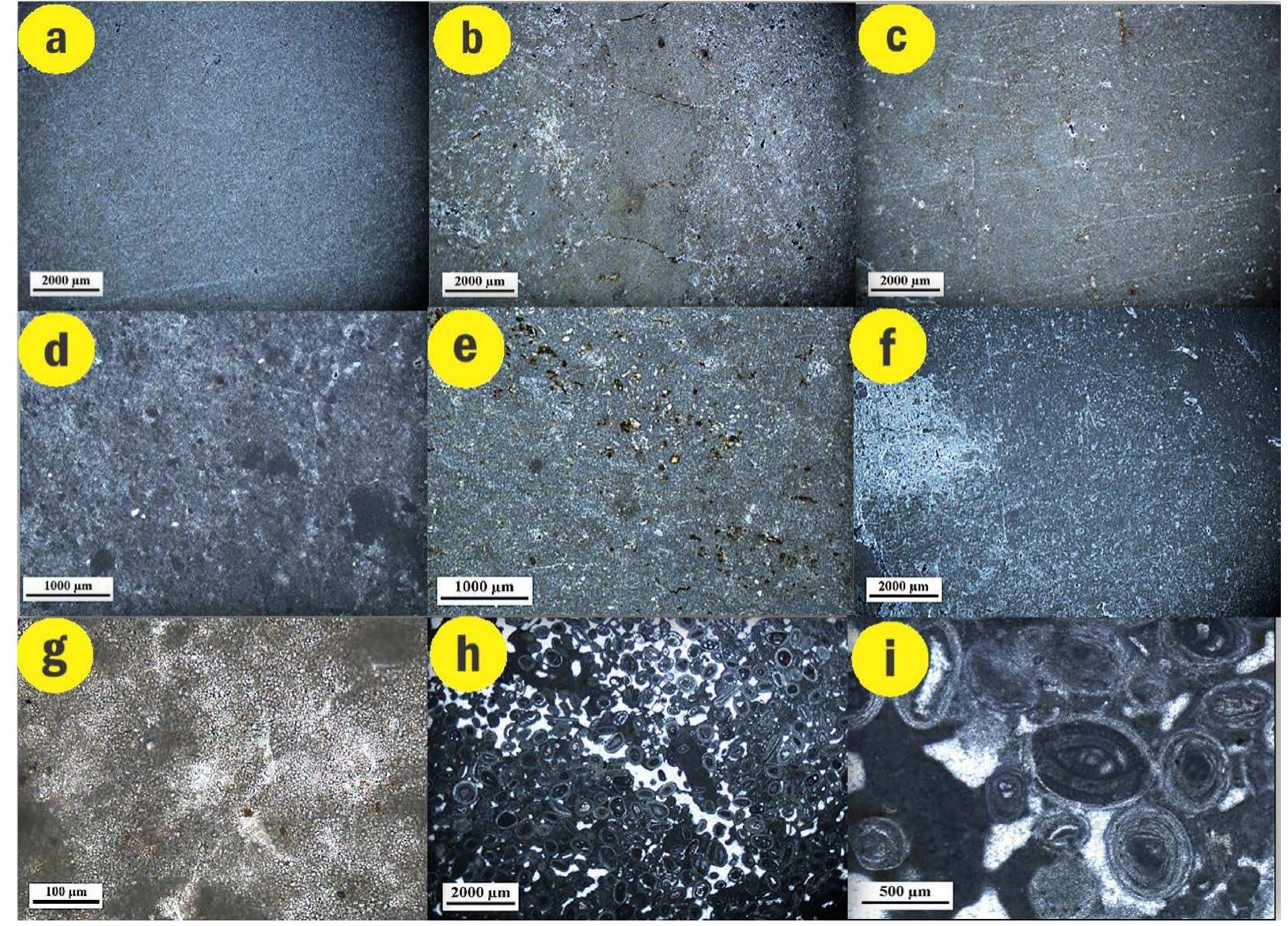 Figure 5 - from Facies Analysis and Depositional Environment
