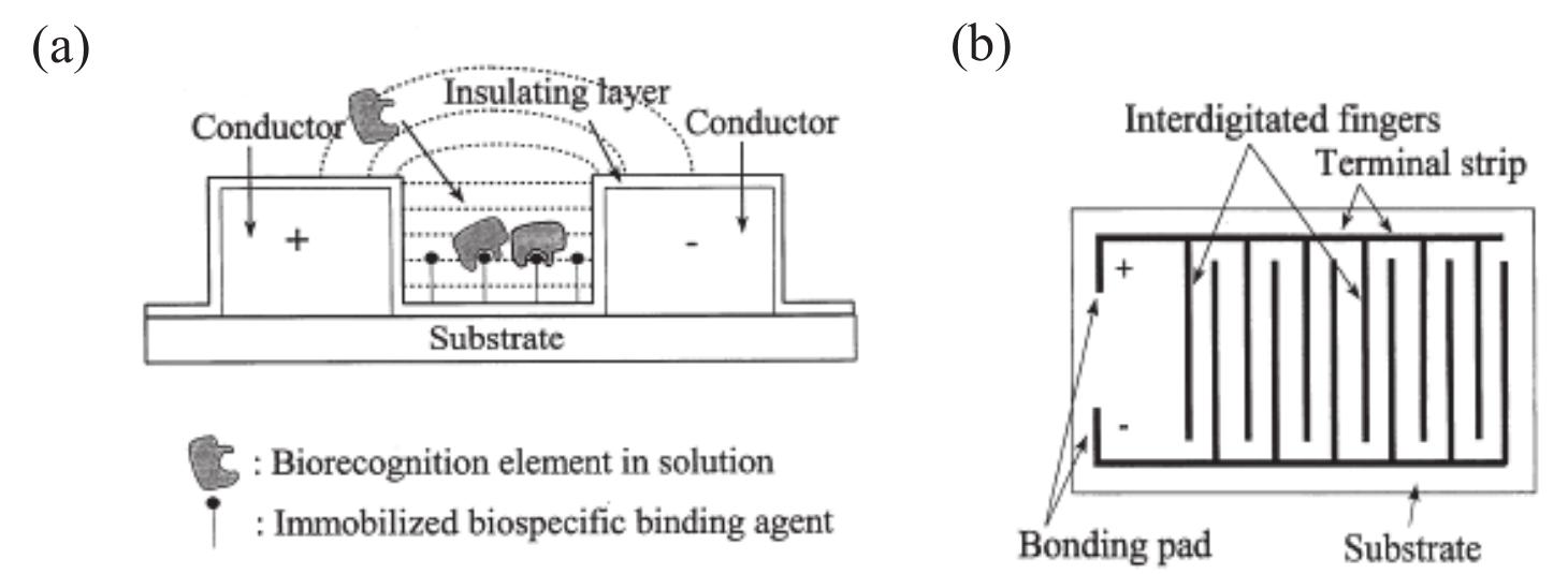 (PDF) Interdigitated electrodes as impedance and capacitance biosensors ...