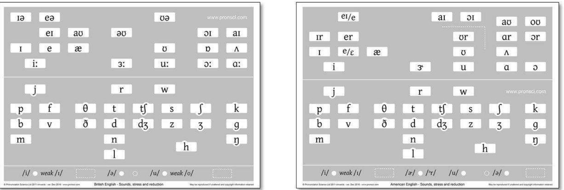 Many Threes Two bases of articulation created for a french class