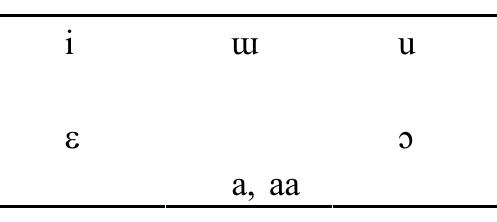 TABLE @.5 VOWEL PHONEMES IN AITON The relation between Aiton and Phake vowels is shown in (5