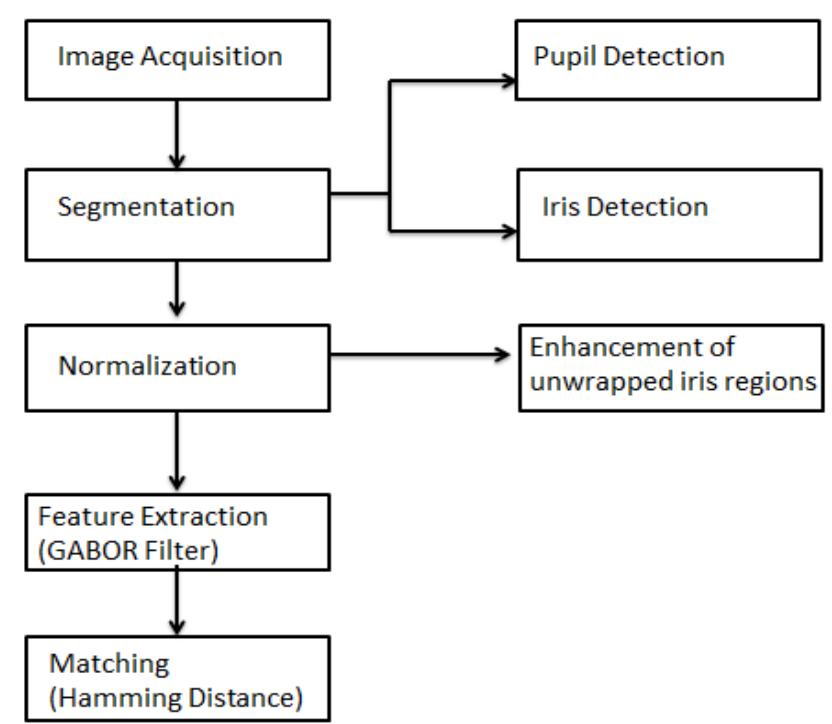 (PDF) Review of Image Processing and Machine Learning Techniques for ...