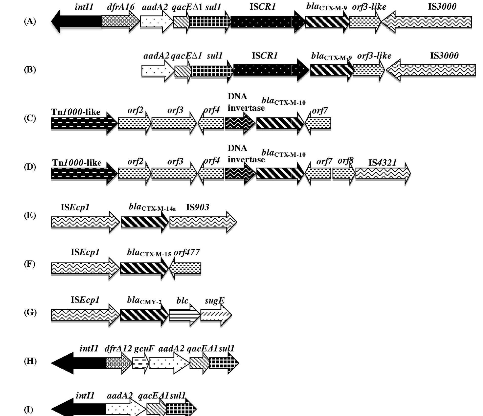 (PDF) Characterisation of plasmids implicated in the mobilisation of ...