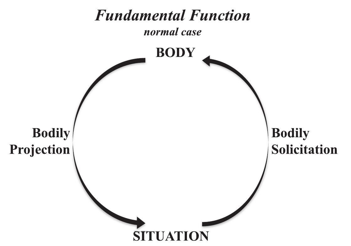 FIGURE 2. The fundamental function in the normal case. The dynamic connection of projection and solicitation is realized by motor intentionality  7 | MOTOR INTENTIONS IN CONTEXT 