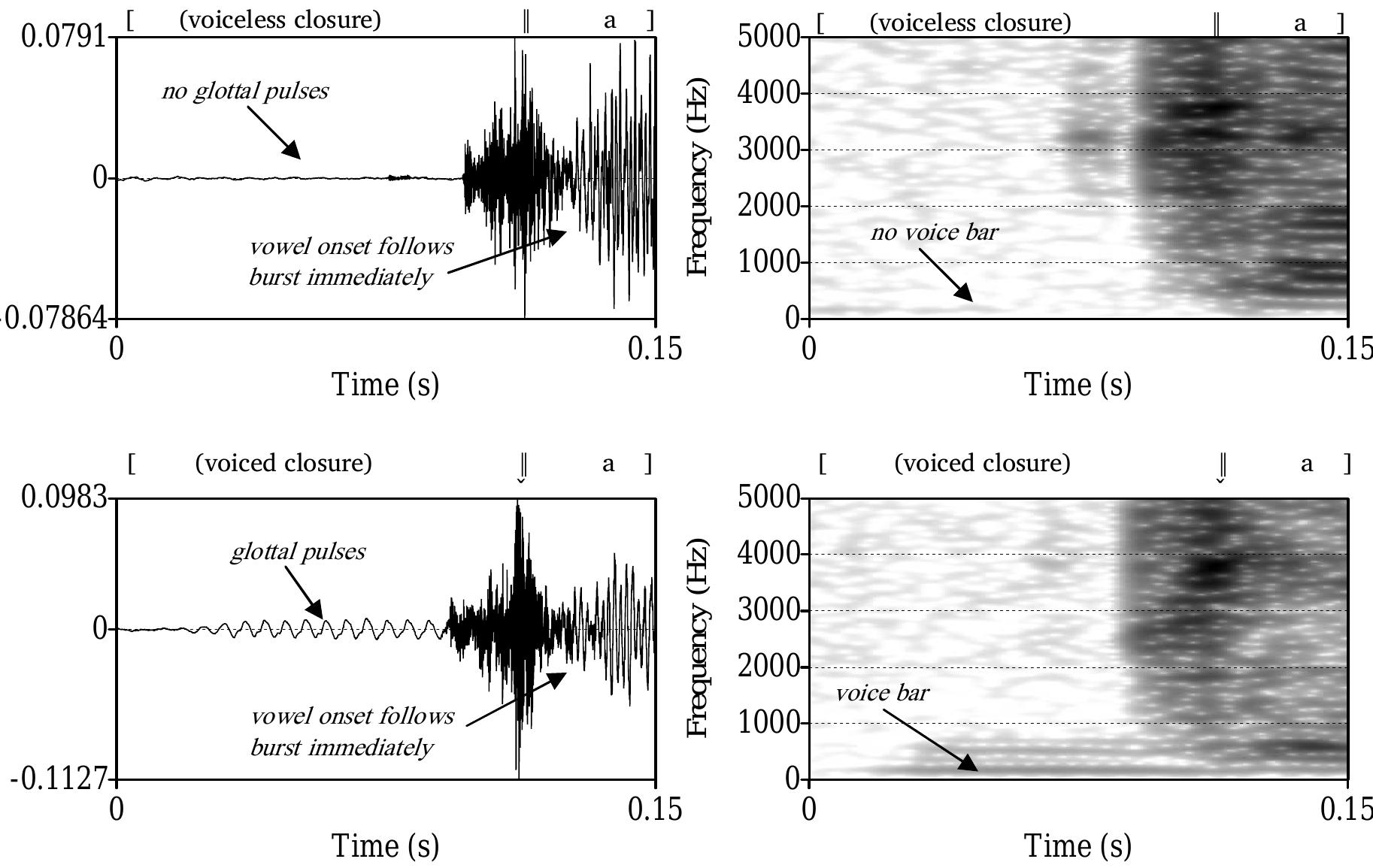 Voiceless Stop Spectrogram Examples (PDF) The phoneme inventory of Taa (West ǃXoon dialect) [preliminary ...