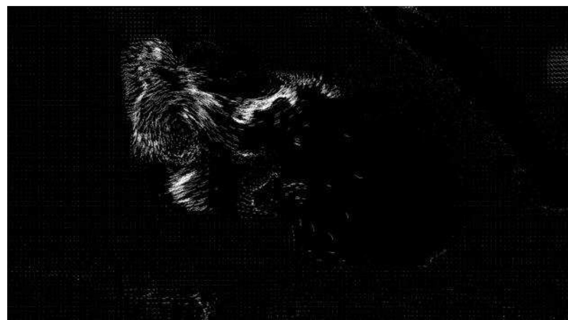 Still from Motion Field: Being Slime Mould ©HeatherBarnett and Dimitra Georgopoulou  