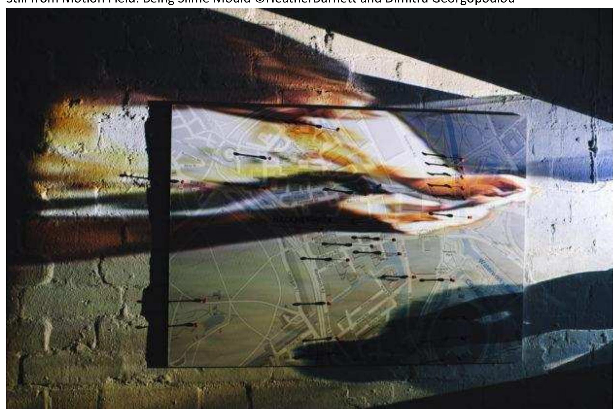 Detail of Observation Sites, CCTV installation © Kira Wainstein 