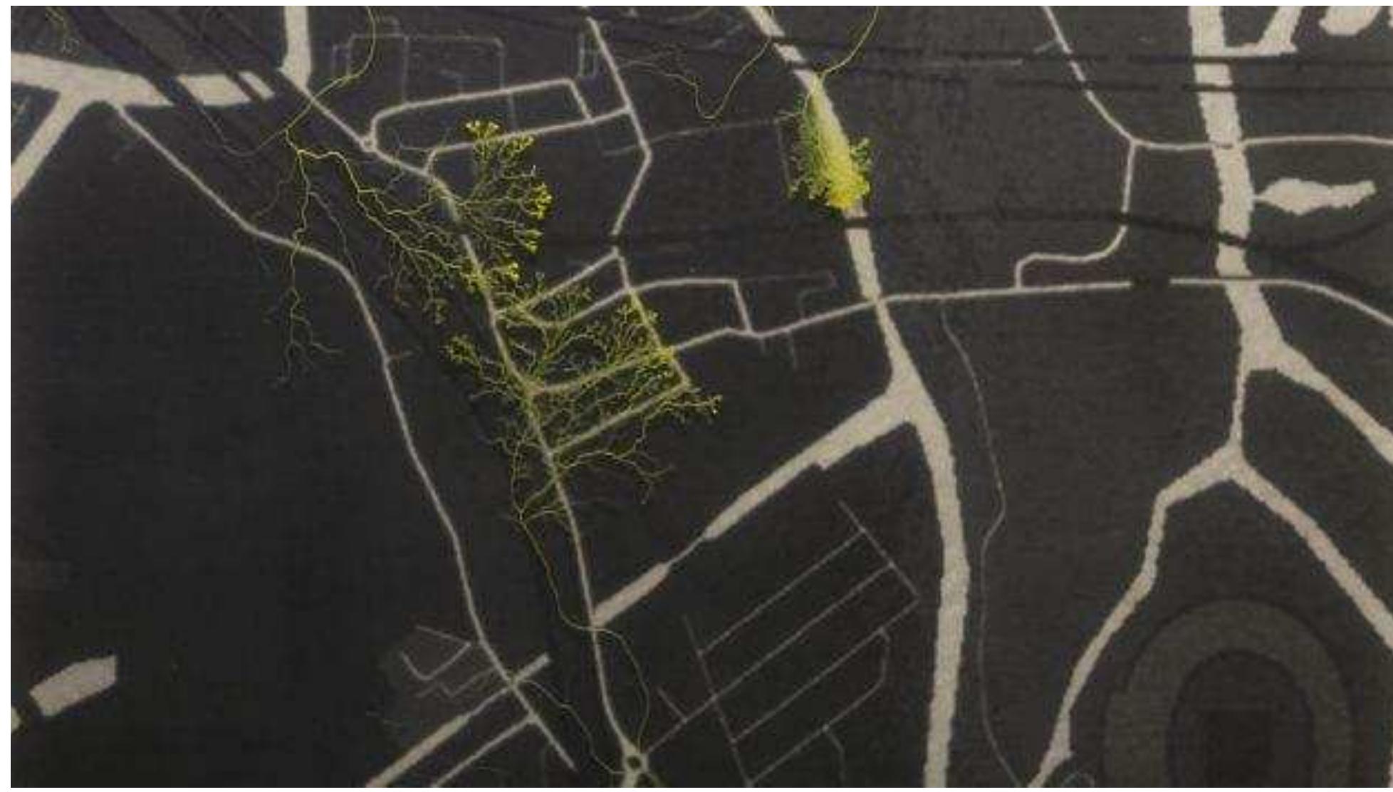 The urban flaneur: slime mould exploration of Hackney Wick. Still © Heather Barnett 