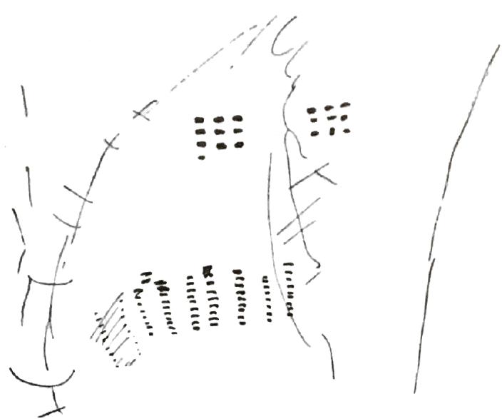 Keimer Tattooed hand from chiribaya culture (late intermediate