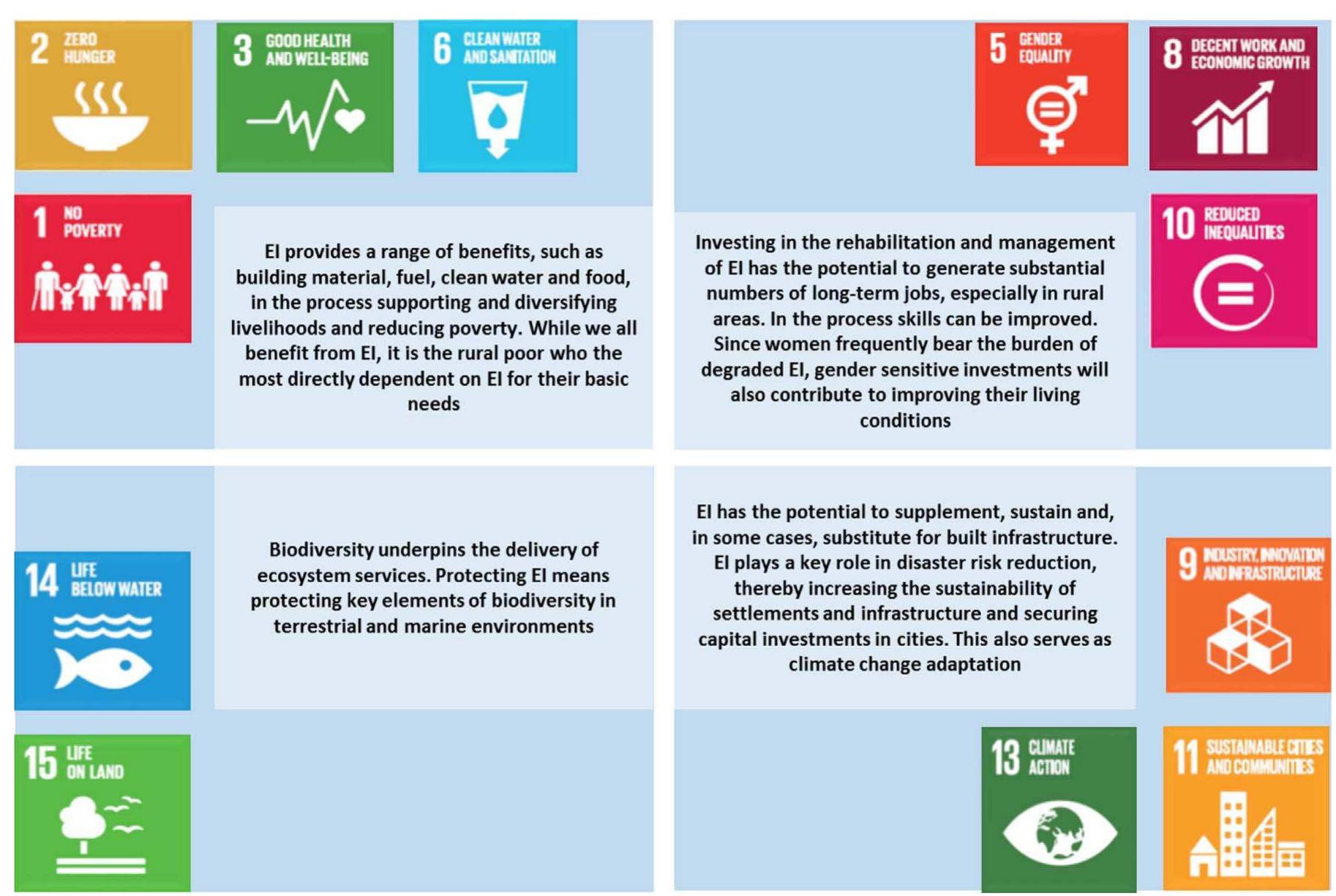 Fig. 1. Investing in ecological infrastructure supports a range of the SDG targets. 