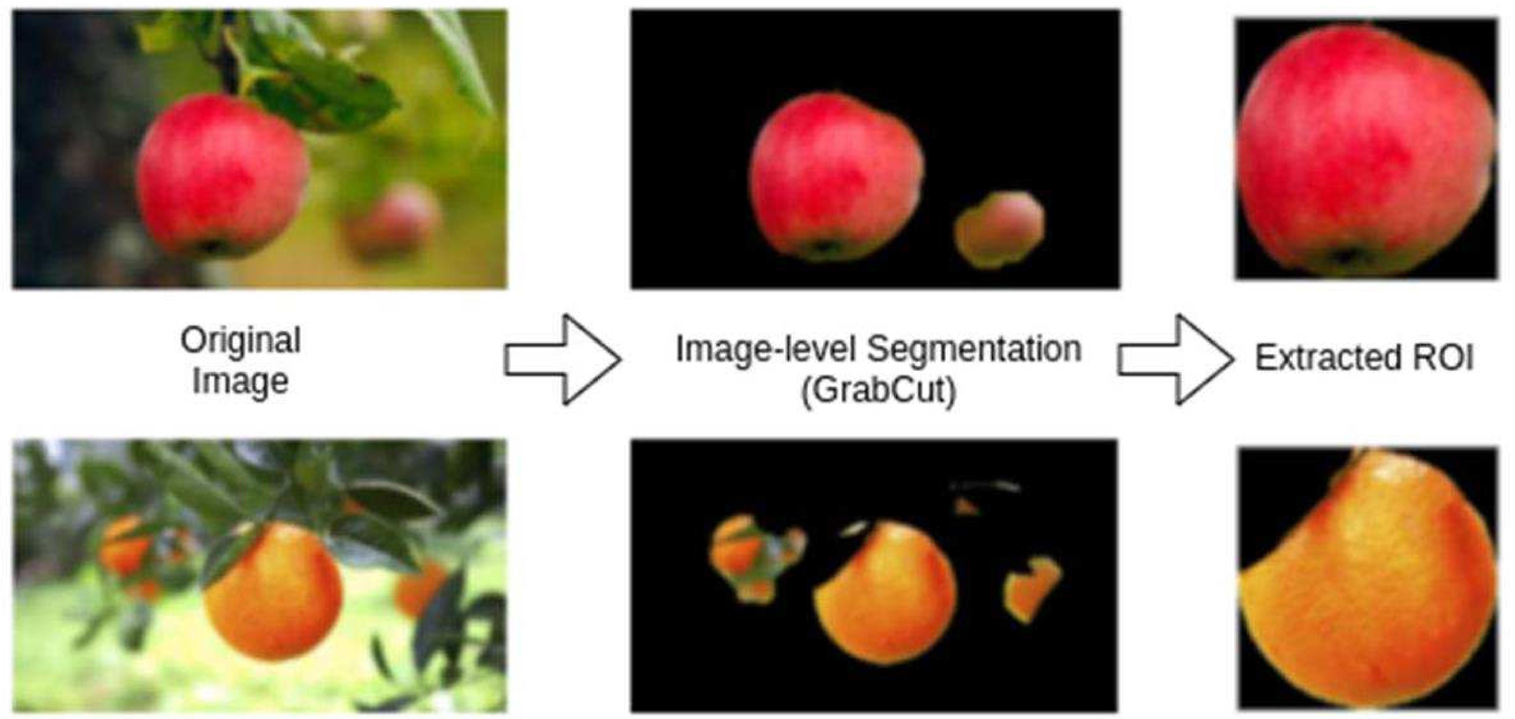 (PDF) Automatic Fruit Recognition from Natural Images using Color and ...