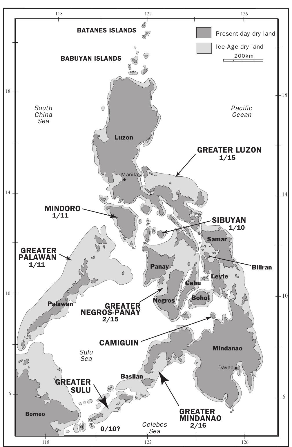 Figure 2.2. Map of the Philippines showing modern (dark gray) and late Pleistocene (light gray) islands. For each of the Pleistocene islands that is well known, the number of endemic species over the total number of fruit bat species is shown. (Redrawn from Heaney 1986. Data from table 2.1  and Heaney et al. 1998.) 