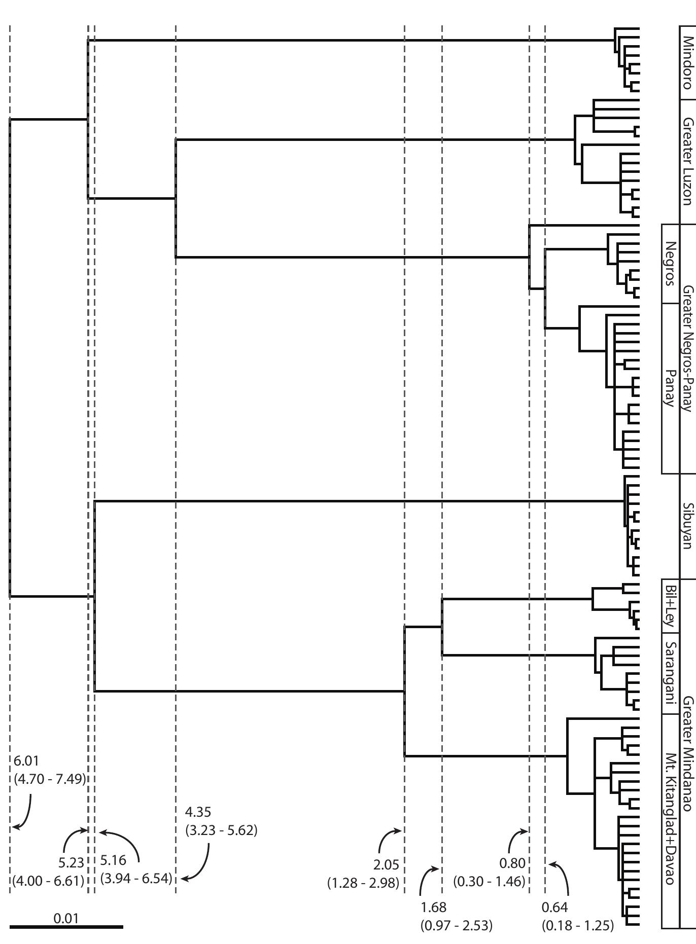 Figure 2.7. Rooted maximum likelihood tree with the molecular clock enforced, and inferred diver- gence times (Ma) for each major clade of Haplonycteris fischeri. The upper and lower bounds of the 95% stochastic confidence interval for the times (from Roberts 2006b) are shown in parentheses. 