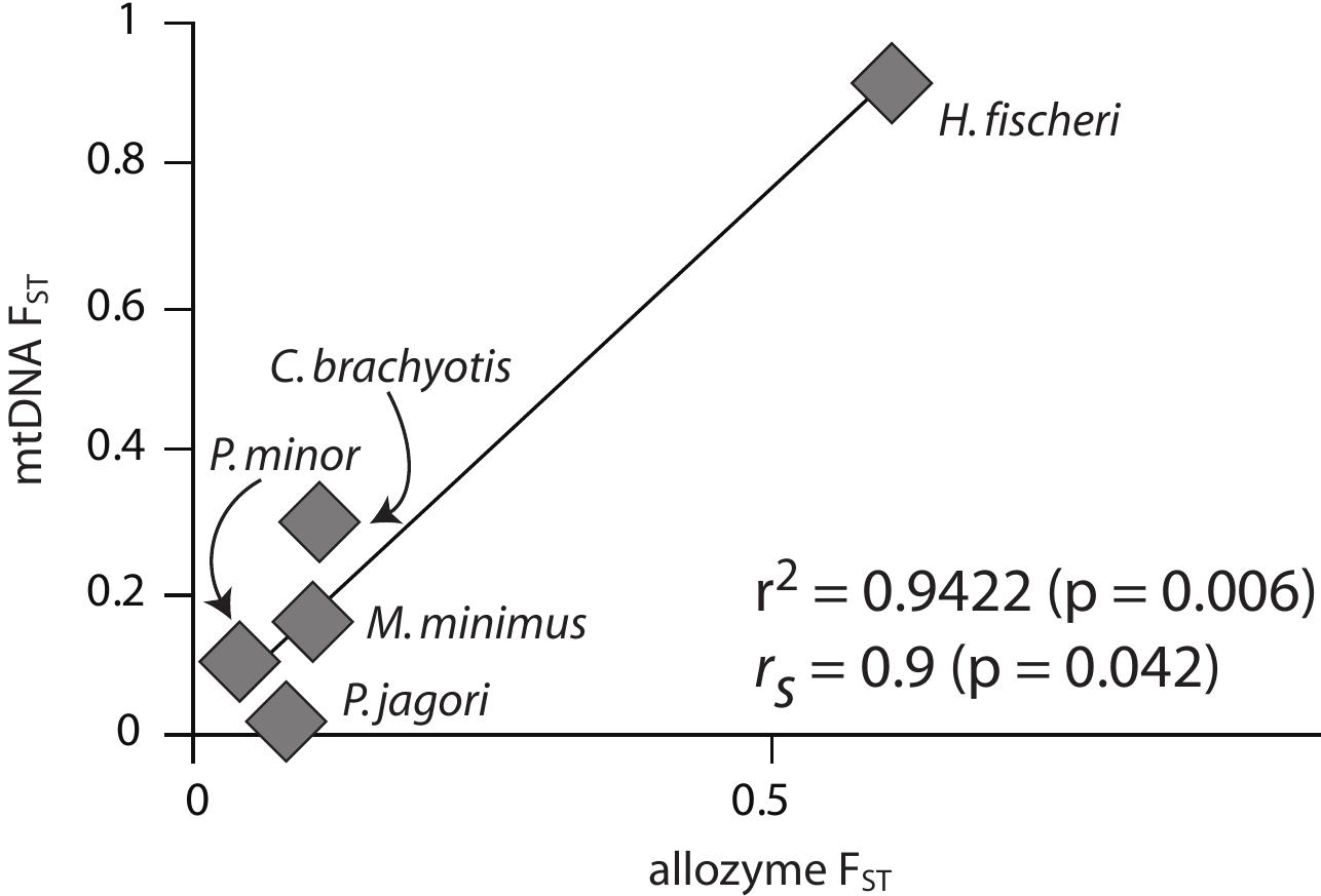 Figure 2.9. Comparison of Fsr values for five species of small Philippine fruit bats, derived from mitochondrial DNA (vertical axis; Roberts 2006b ) and allozyme data (horizontal axis; Heaney et al. 2005). The line is the simple linear regression. The squared correlation coefficient (r?) and Spearman’s nonparametric correlation coefficient (r;) are given with their p-values in a one-sided test.  Long-Term Biogeographic Dynamics and Conservation of Philippine Fruit Bats 41 