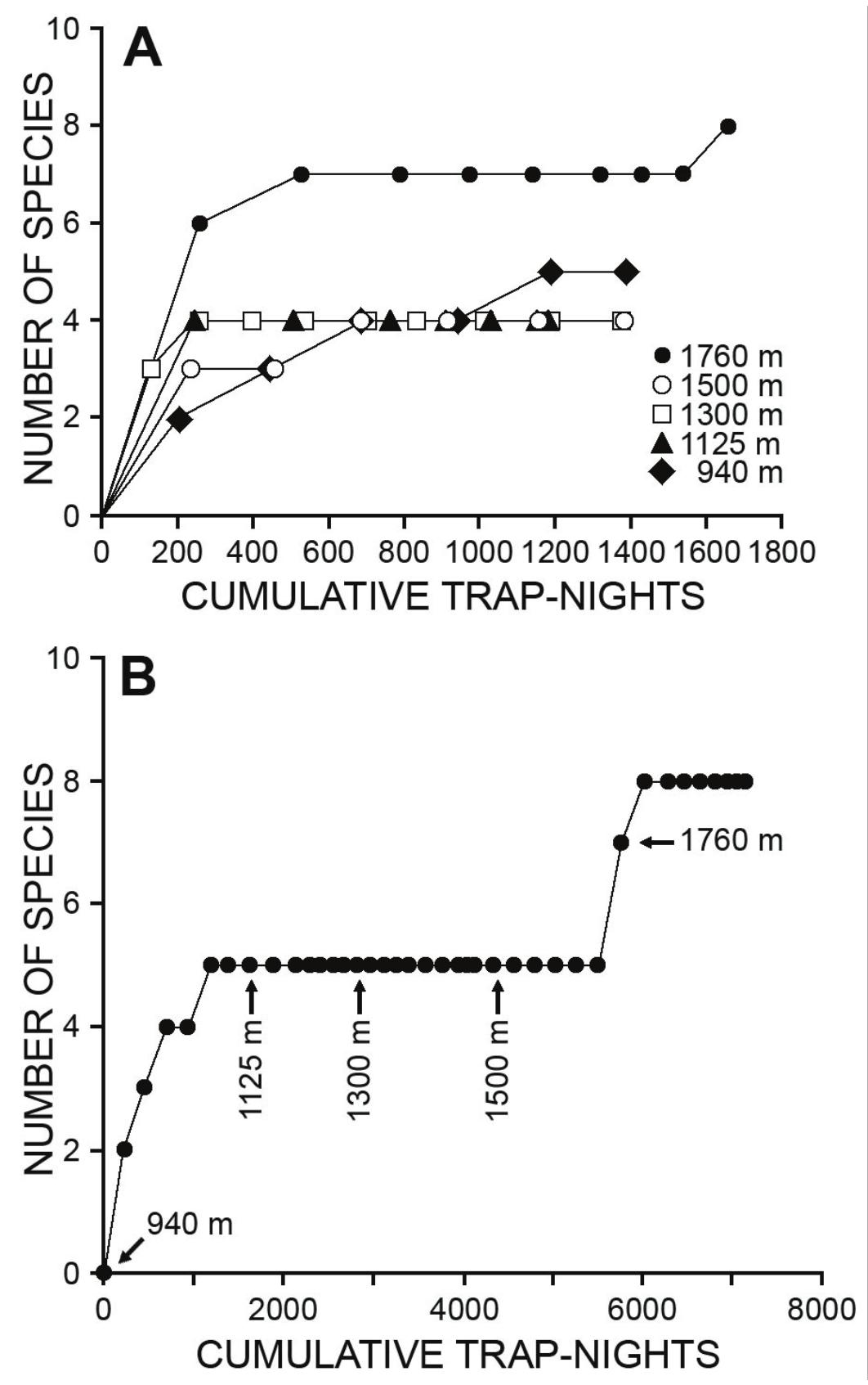 Fig. 3. Species accumulation curves for native non-volant small mammals on Mt. Anacuao. A, in individual study areas: and B, for the entire transect, with the beginning of sampling at each location shown. Each symbol represents one day of sampling. 