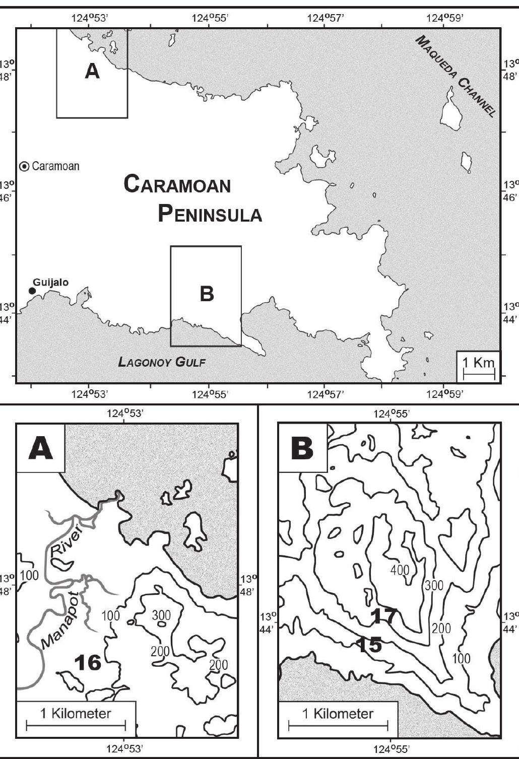 Fig. 5. Maps of Caramoan Peninsula and sampling localities along the coasts of Maqueda Channel (A) and Lagonoy Gulf (B) in Caramoan NP, numbered fol- lowing the list of study areas (see Study Locations). Contour interval = 100 m.  Locality 1. 2.5 km N, 0.5 km W Mt. Labo east peak, 626 m elevation, 14.04130° N, 122.78663° E (21 - 24 April  2006). We surveyed an are lowland forest at ca. 626 m ( subsistence agriculture were  a of regenerating secondary Fig. 6A). Forest clearings for common (Fig. 6B). Logging  in the past had removed most of the large trees. The re- generating forest had a canopy height of ca. 25 - 30 m. with emergents up to 40 m; in one severely logged area the canopy was only 12 - 15 m high. Dipterocarps (Shorea),  Mallotus, Dillenia, and Ela  eocarpus were the common  canopy trees; figs (Ficus) and wild banana (Musa), rattans (Calamus), erect palms (Caryota and Pinanga), and ferns  (Angiopteris and Cyathea) we  re common in the understory  Canopy vines were moderate  ly common, consisting mainly 