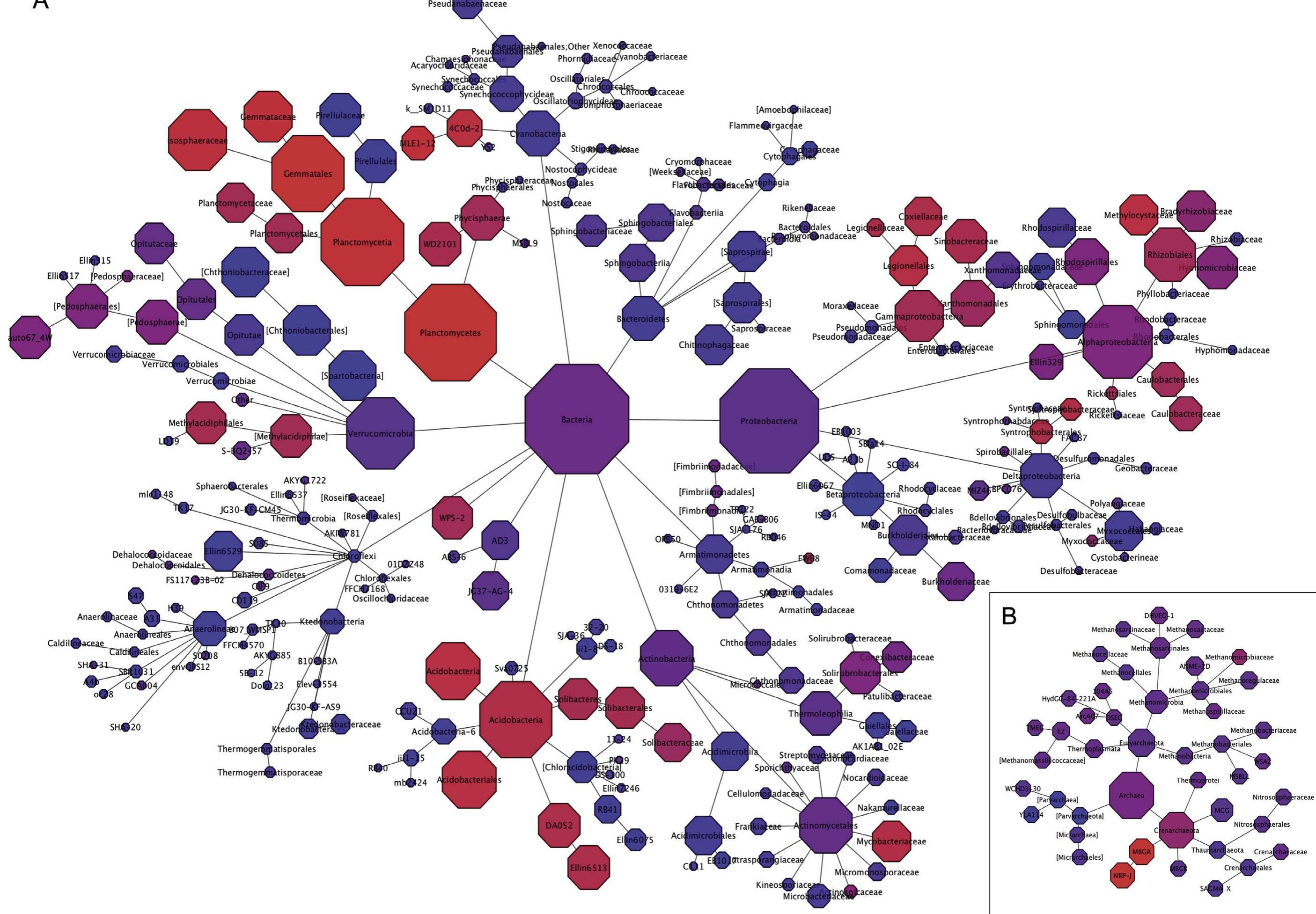 (PDF) Soil bacteria and archaea change rapidly in the first century of ...