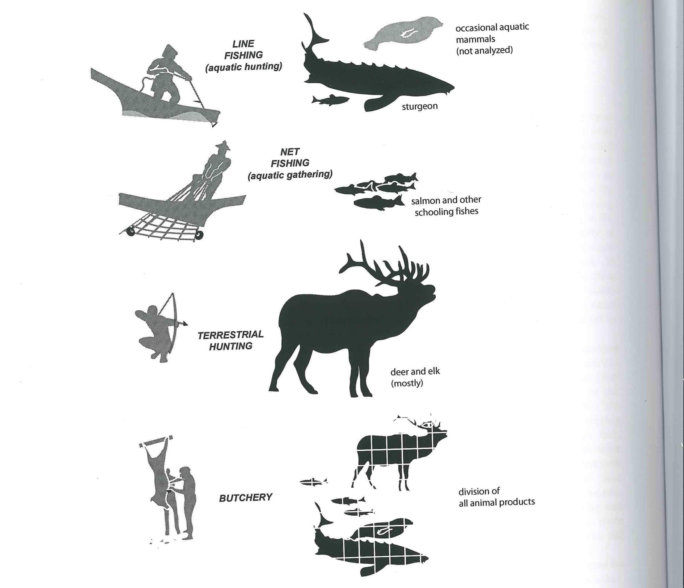 Figure 48. Visual Summary of Four Extraction Activities. 