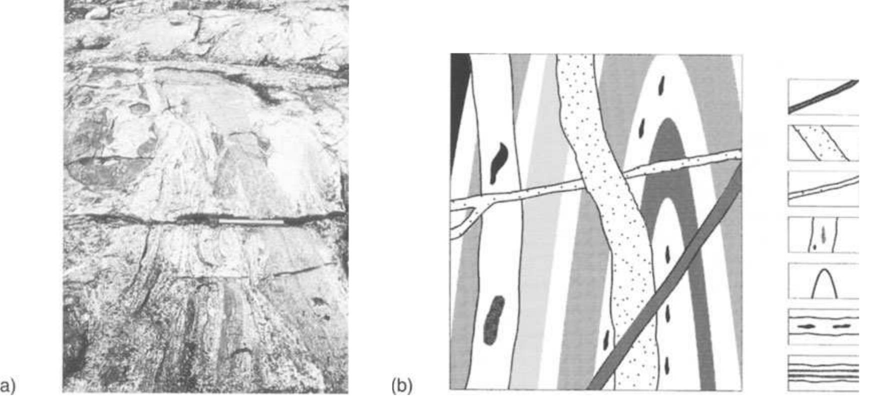 (PDF) GENERAL CHARACTERISTICS OF MIGMATITES AND MIGMATITE TERRANES