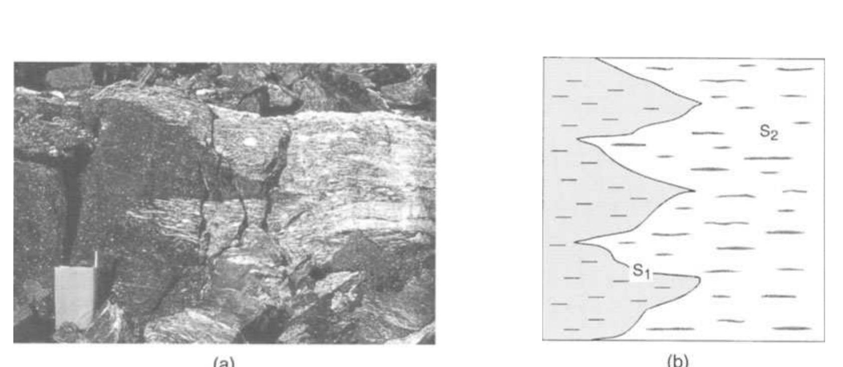 (PDF) GENERAL CHARACTERISTICS OF MIGMATITES AND MIGMATITE TERRANES