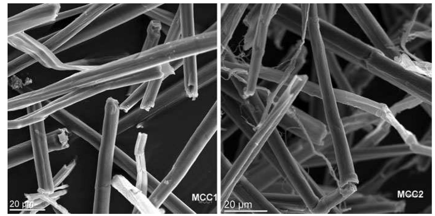 Fig. 1 SEM micrograph of MCC1 and MCC2 