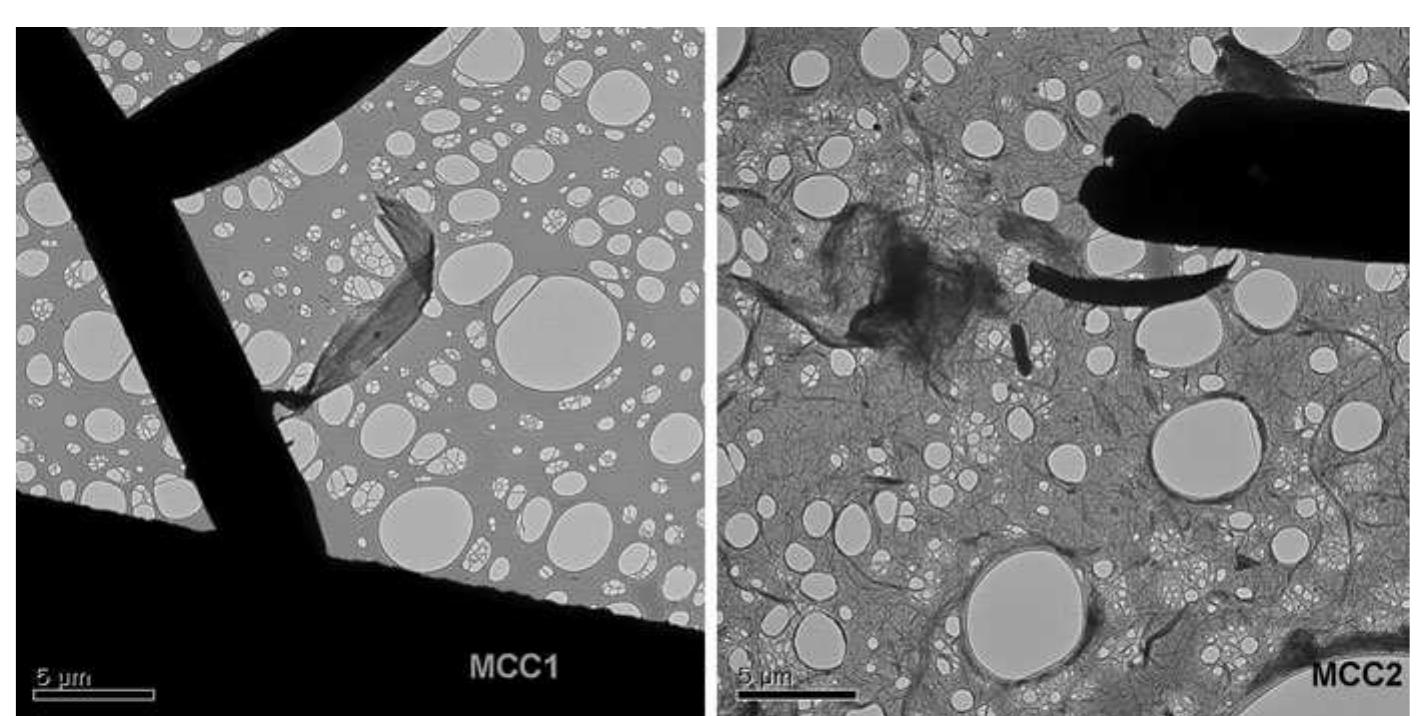 Fig. 2 TEM micrograph of MCC1 and MCC2  relatively small (6.5 wt%). It can be seen in Fig. 3 that there were no other degradation peaks except that of cellulose, which supported the conclusion that the MCC samples we prepared are very pure. The weight osses of these products have three stages: (1) dehydration of absorbed water (<200 °C), (2) cellu- ose chain scissions (200 ~ 380 °C) (Gassan and Bledzki 2001), due to the breaks of C-C and C—O bonds; (3) aromatization (>380 °C), leading to the formation of the residual char. The decomposition peaks of the maximum mass loss were at 337, 313 and 315 °C for cellulose and MCC1 and MCC2, respectively. The negatively charged sulfate groups introduced into the outer surface of the cellulose  crystals decreased thermal stability (Fahma et al. 2010). It was reported (Alemdar and Sain 2008) that  