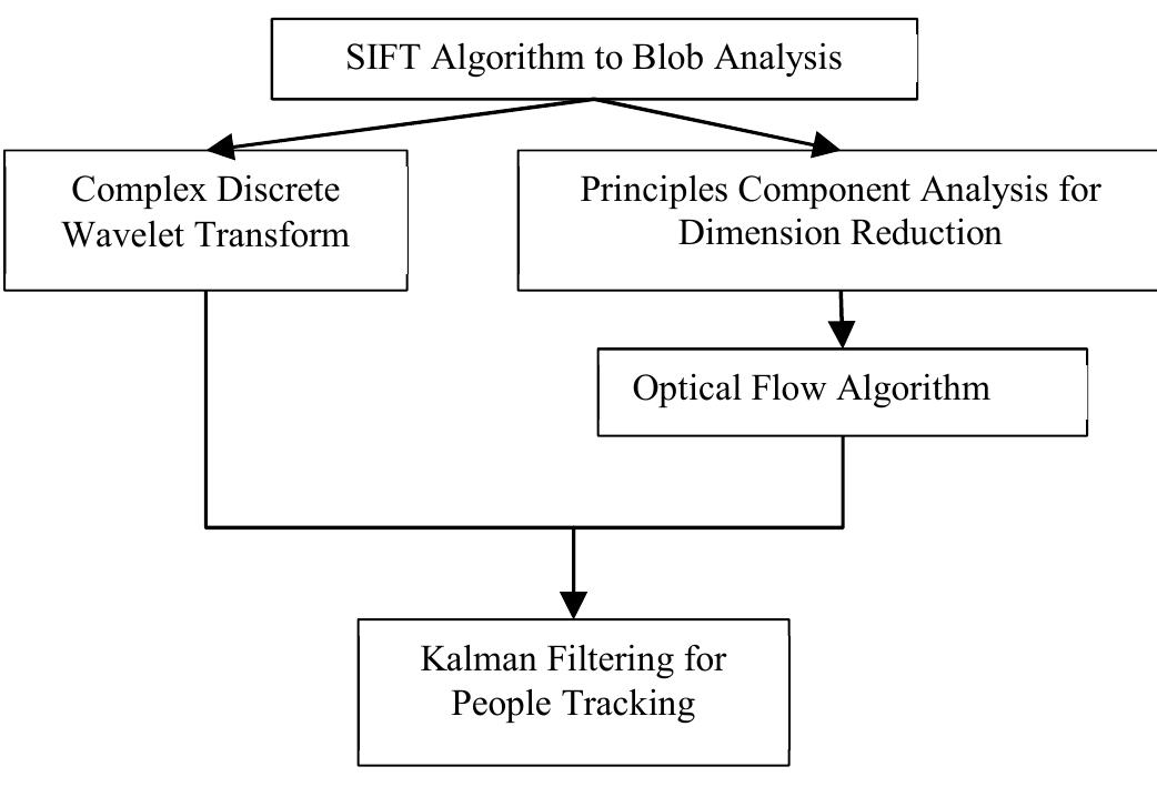 The general flow of the proposed method is given in Figure 3. In the first step, a blob analysis based on SIFT is applied to frames. The poorly determined points are eliminated by using DoG. A CWT is applied to these blobs to obtain the movement directions and the speeds of key points. Similarly, the speed and directions of the blobs are calculated by using optical flow. To reduce the computational complexity, a PCA is applied to blobs before the calculation of optical flow. If any blob appears both in the result of CWT and optical flow, it is considered as a person. One of the main problems in people tracking/counting application is occlusion. To track the occluded people’s trajectories Kalman filtering is applied to final people map. If an occluded person is not being tracked again in an acceptable time period, the person is assumed to be left the scene.   Fig 4. Proposed Algorithm.  The mean absolute error (MAE) term is used as the performance metric to determine the performance of the system 