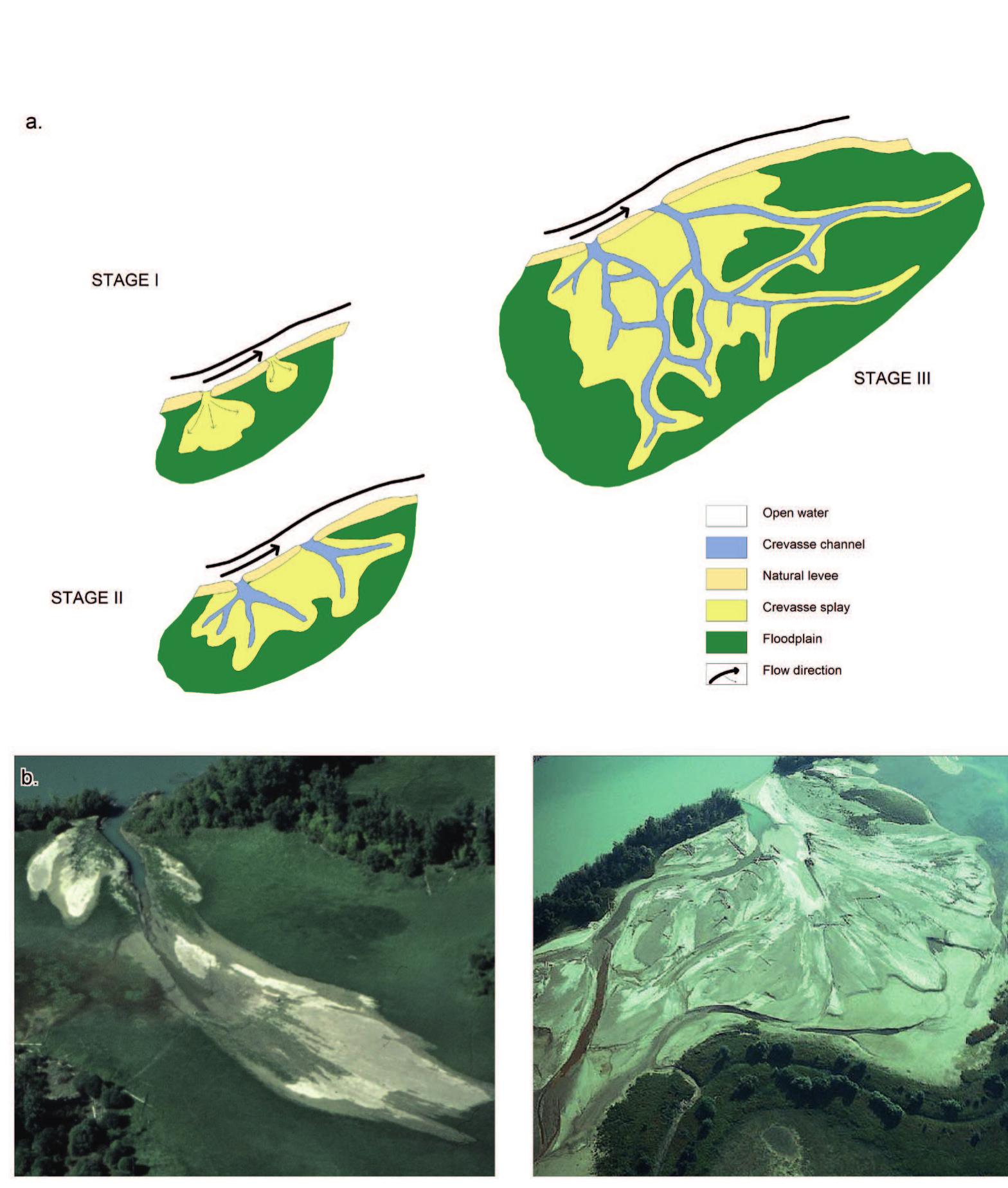Figure 3.2 Formation of a crevasse splay complex (Smith et al., 1989) and active crevasse splay systems, upper Colombia River, Canada (photo's: B. Makaske).  deposits is based on the spatial distribution of the sediment. Two types of crevasse splays are distinguished: a) clear channels with bar facies that protrude into the flood basin; and b) large irregular bulges of the ‘levee’ indicating the presence of a sheet of crevasse splay sediments deposited directly aside levee deposits. In Fig. 3.2b both types are depicted in a present-day situation. 