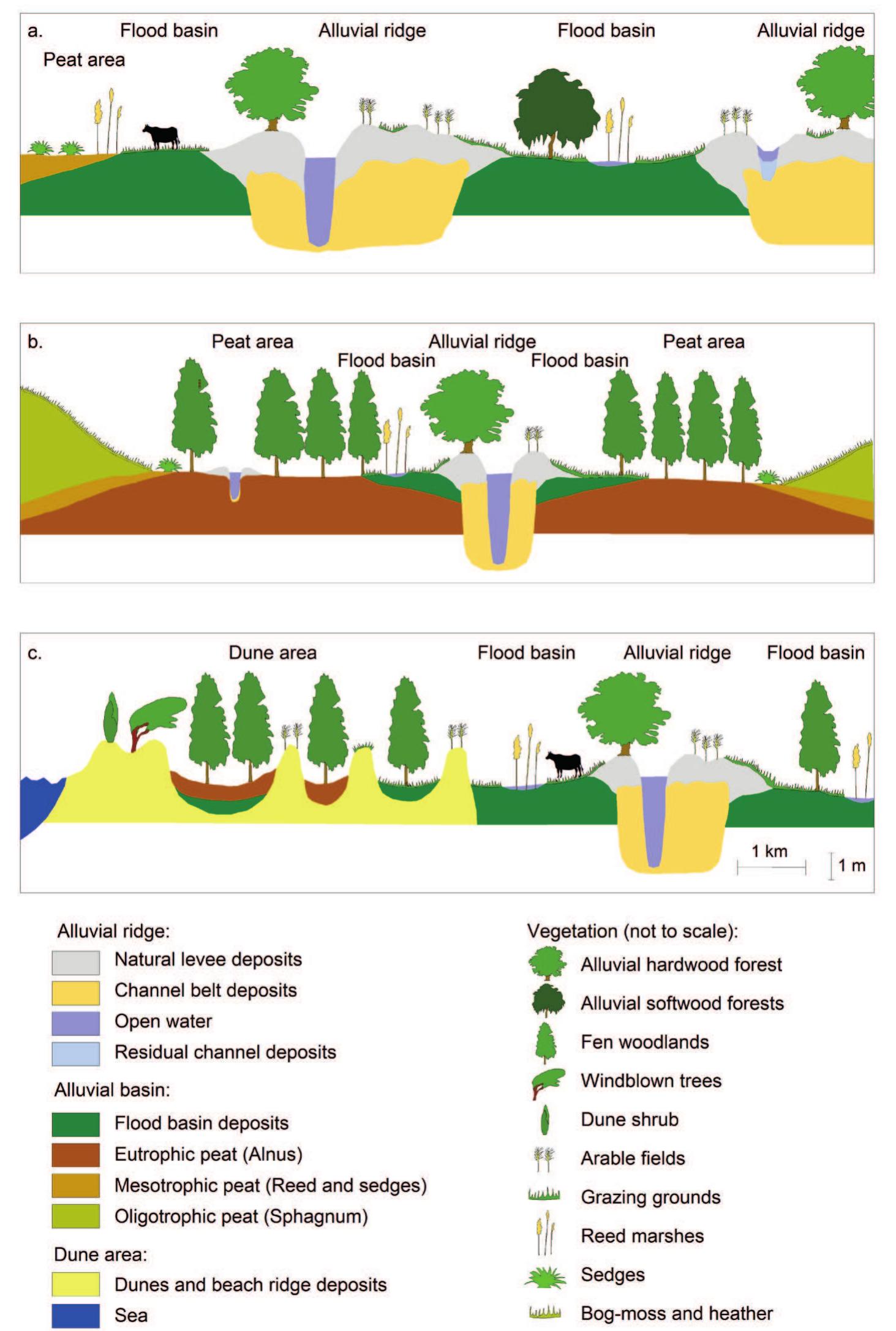 Figure 4.3a-c Cross-sections through the three types of landscape in which the Roman defence system of the Lower Rhine was built, a. river region, b. peat region, c. coastal region. 