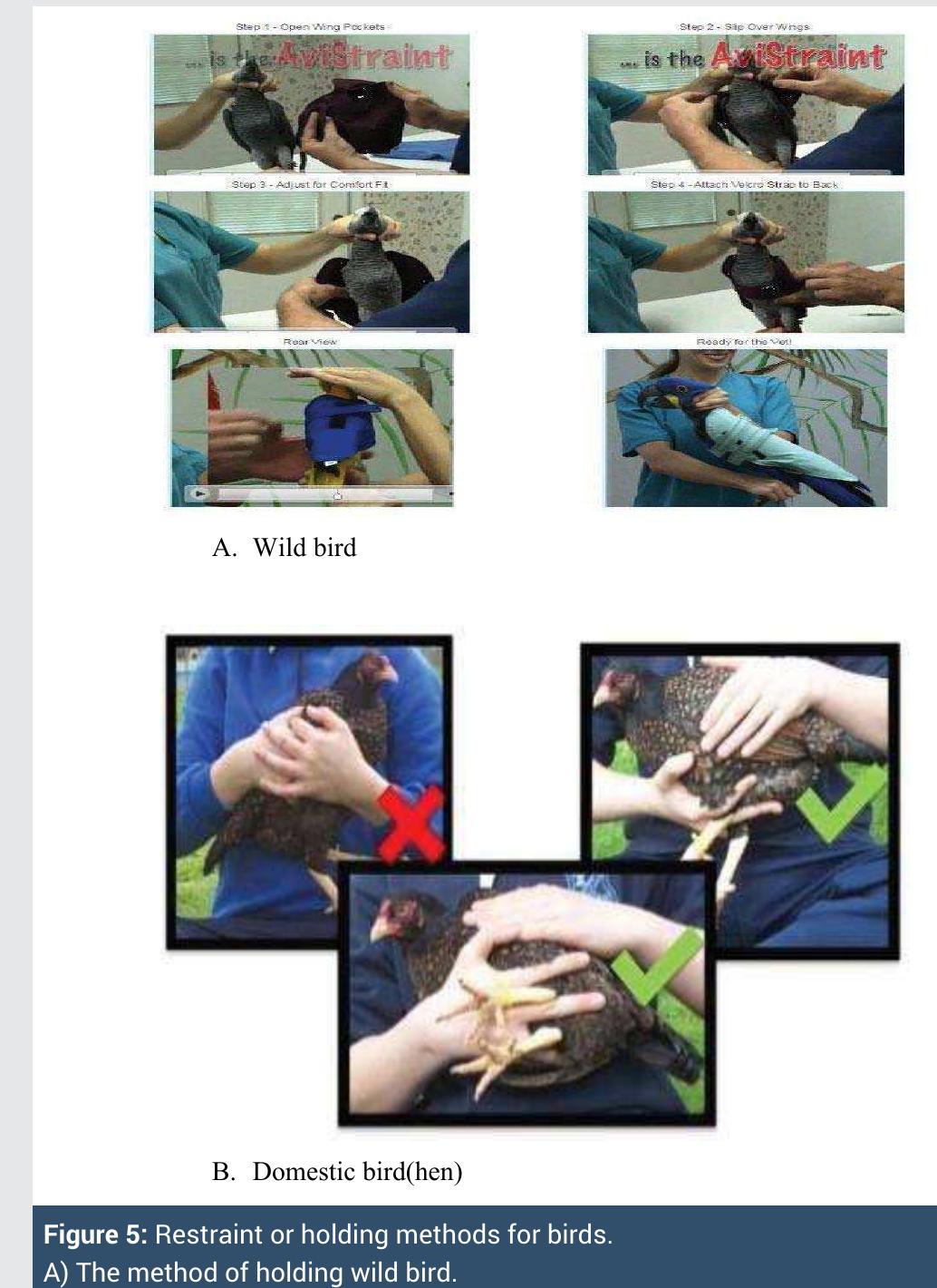 Figure 4 - from review-on-practical-guidance-of-veterinary-c