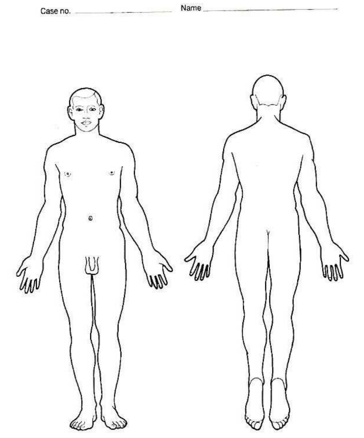 (PDF) Dissecting Race: An Examination of Anatomical Illustration and ...