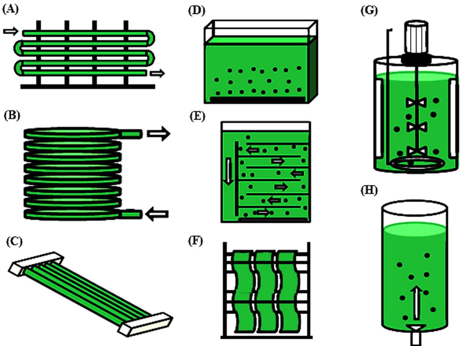 Schematic representation of the different photobioreactors