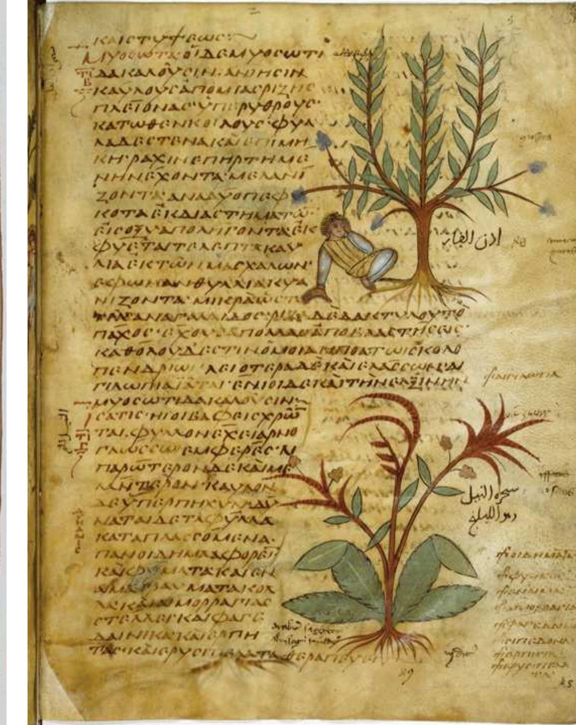 “Paris, Bibliothéque nationale de France, Par. gr. 2179, fol. 51. PHOTO: BIBLIOTHEQUE NATIONALE DE FRANCE, PARIS, BY PERMISSION. 