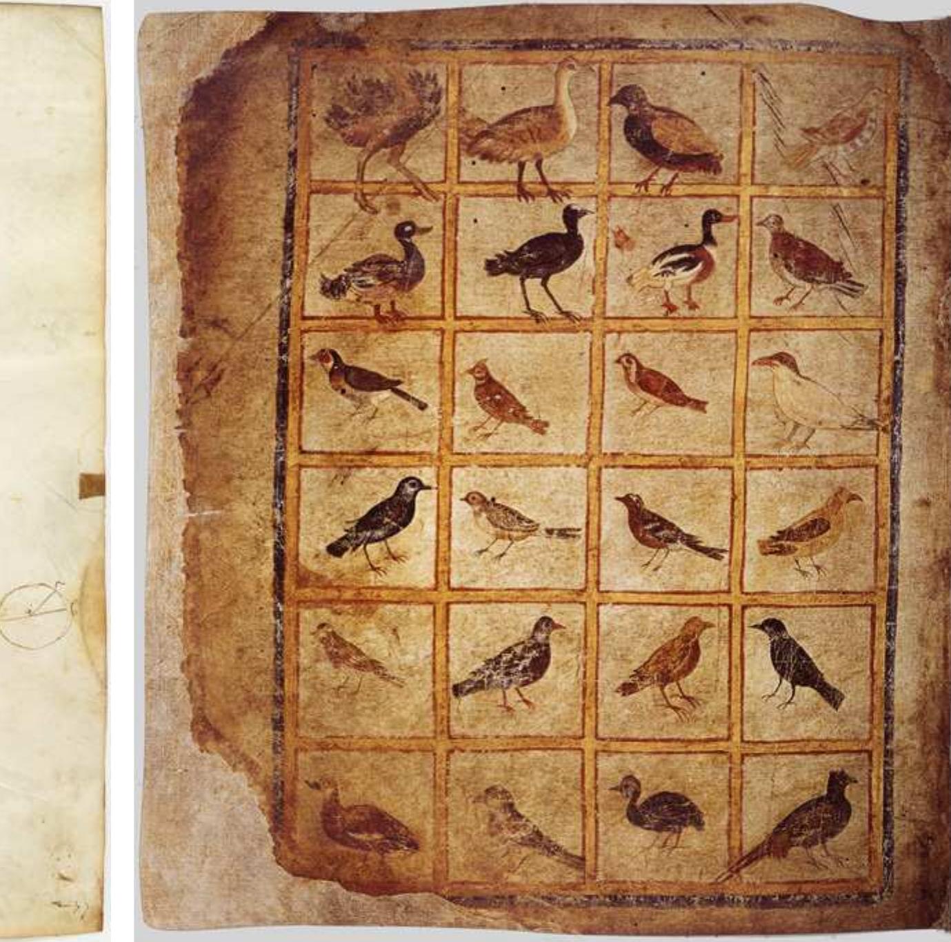 URE 23 Vienna, Osterreichische Nationalbibliothek, Vind. med. gr.1, fol. 483v. PHOTO: OSTERREICHISCHE NATIONALBIBLIOTHEK, VIENNA, BY PERMISSION. 