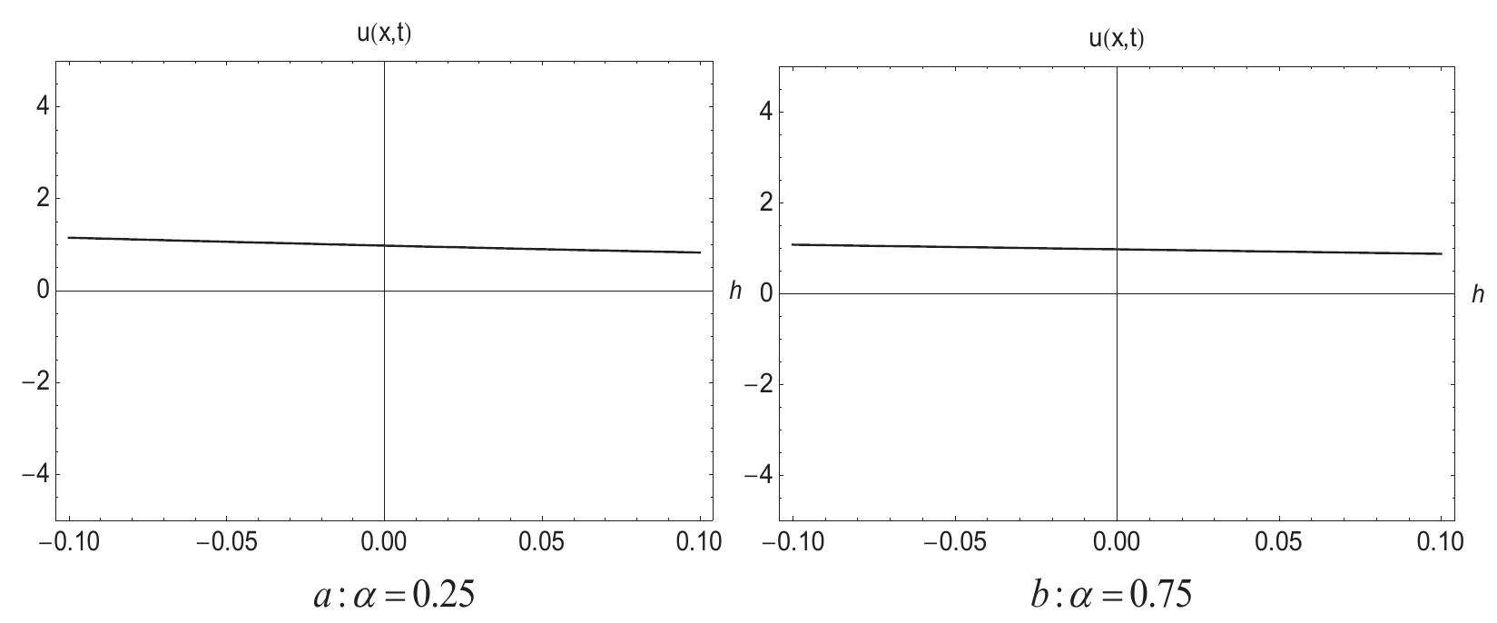 (PDF) The solution of fractional wave equation by using modified trial ...