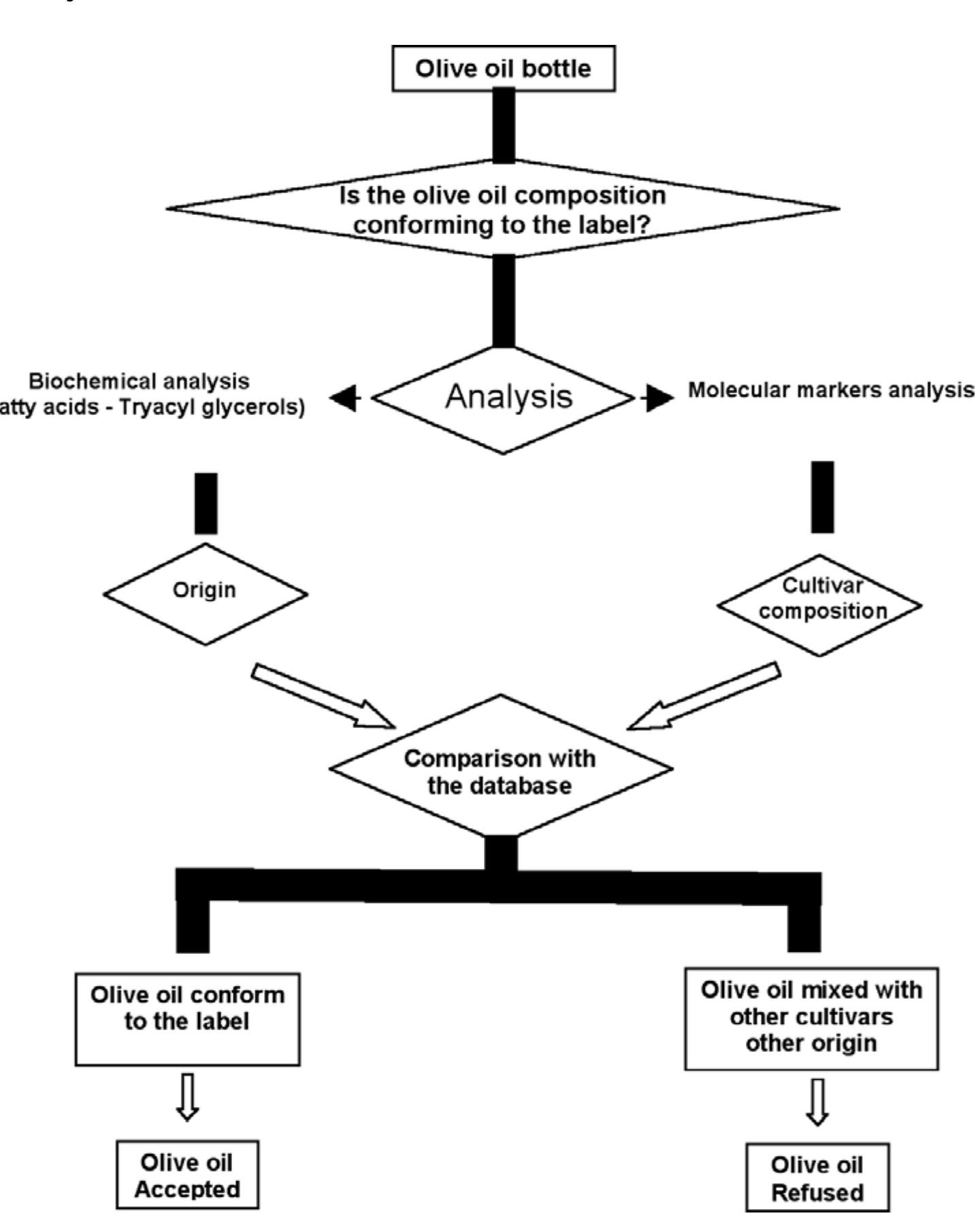 (PDF) Molecular traceability of olive oil: From plant genomics to food ...